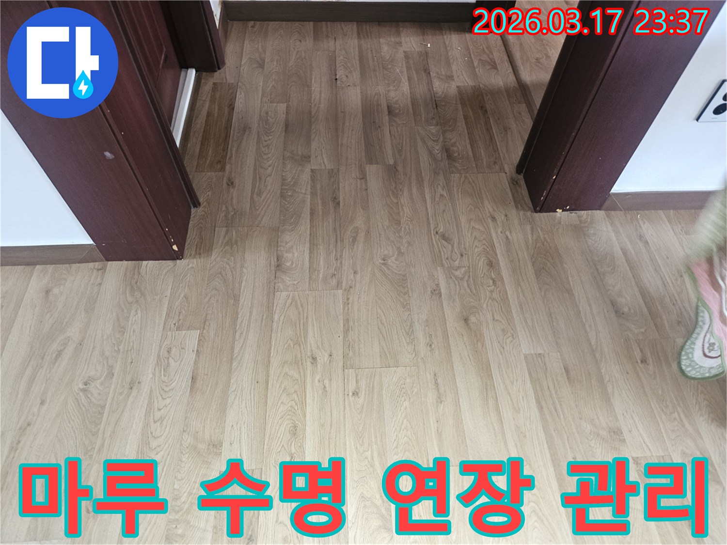 누수로 인한 바닥 마루의-손상을 방지하고-수명을 연장하기 위한-점검 과정을 보여주는 사진입니다.
