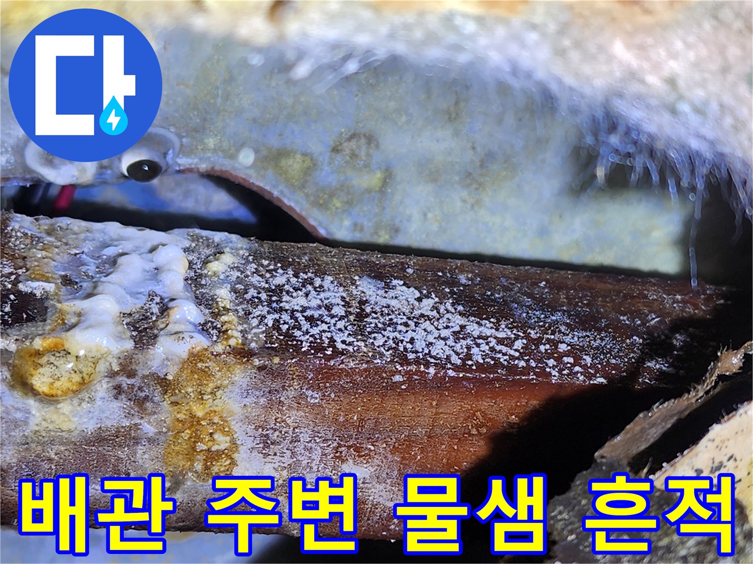 물샘-흔적으로-인한-천장-목재-백화현상-사진