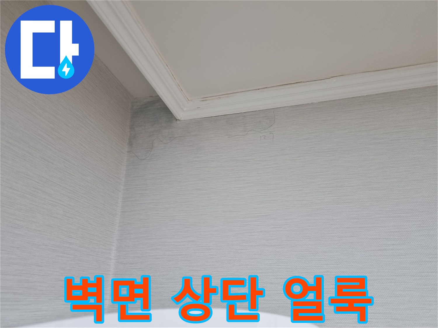천장-몰딩-하단-벽지-얼룩-확인