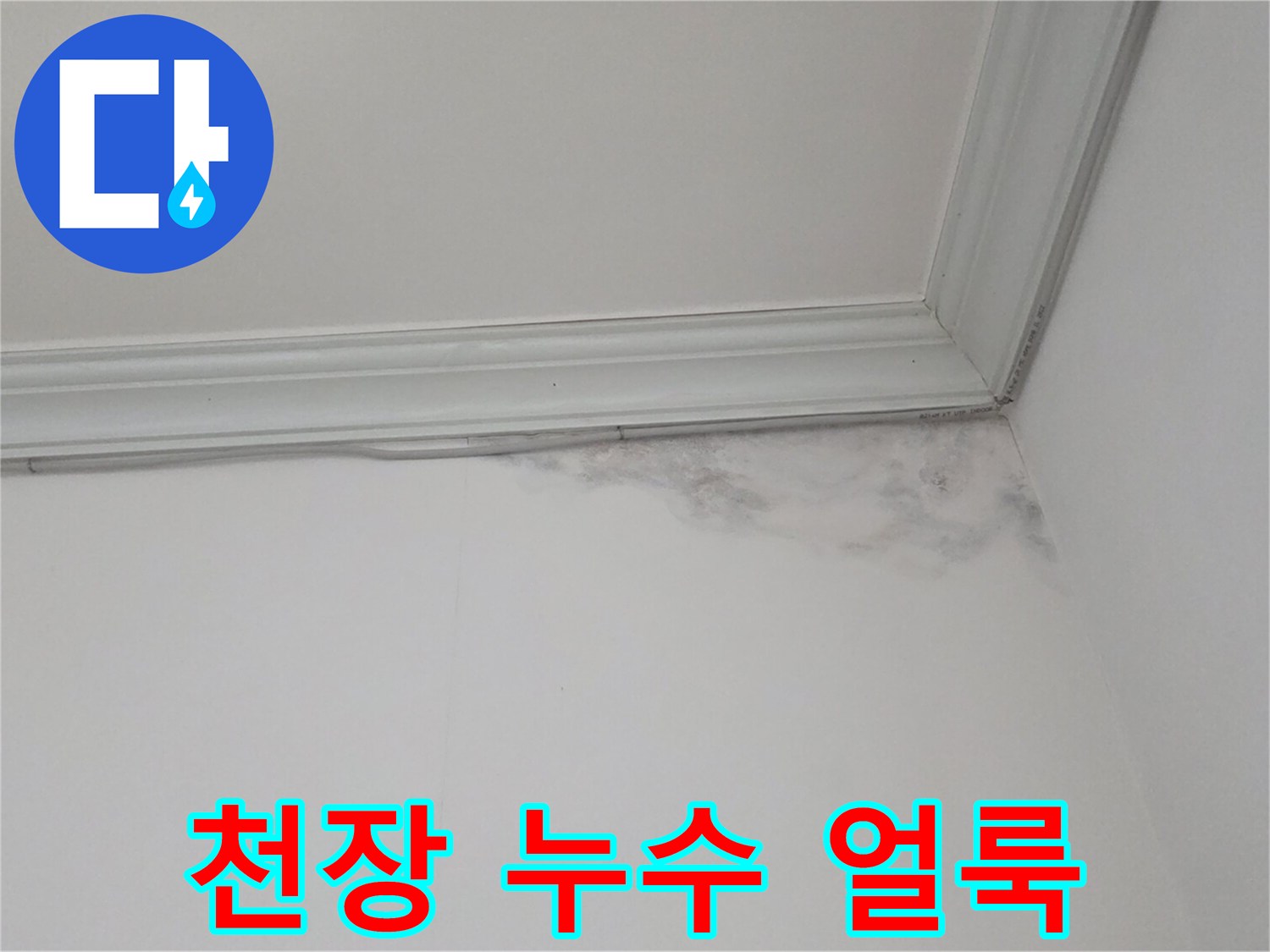 물샘-증상으로-변색된-천장-몰딩-부위