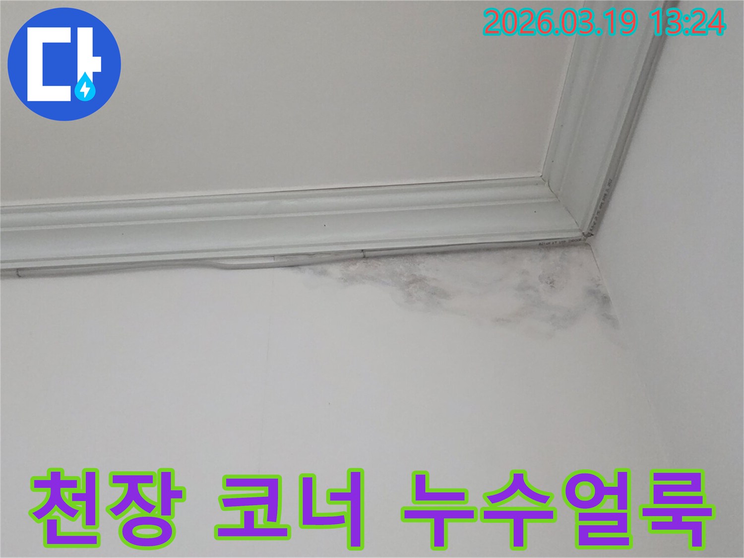 천장-몰딩-아래-물자국-발견-사진