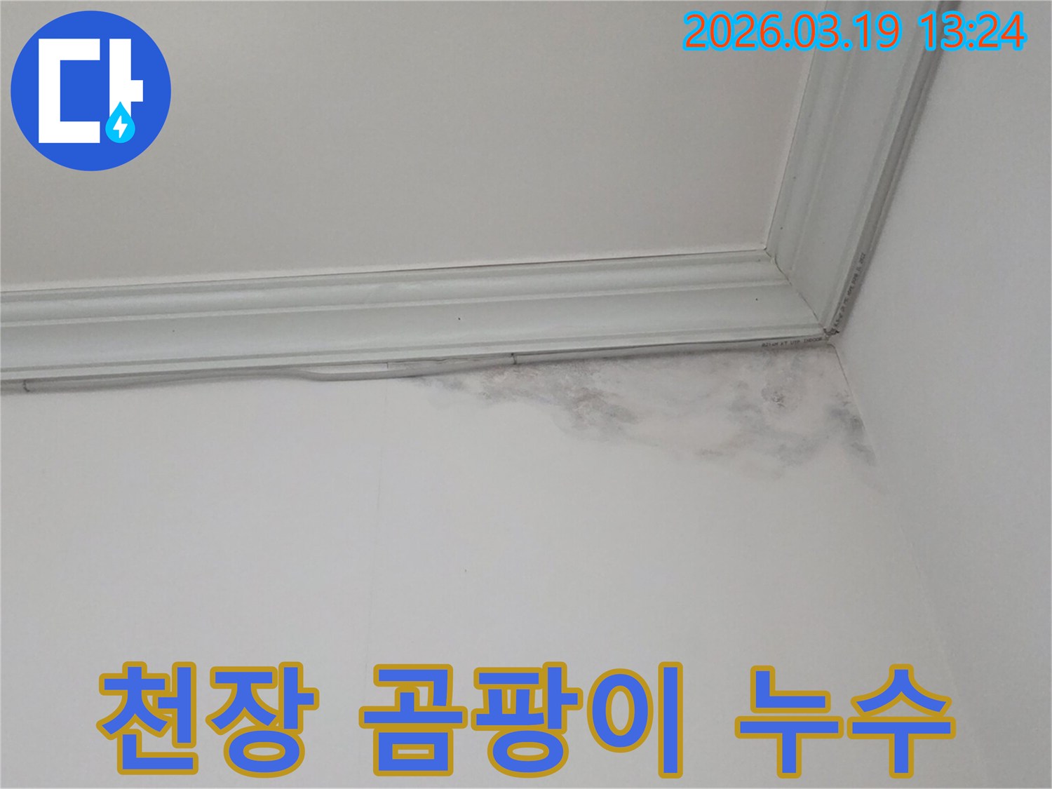 천장-몰딩-아래-물자국-발견-사진