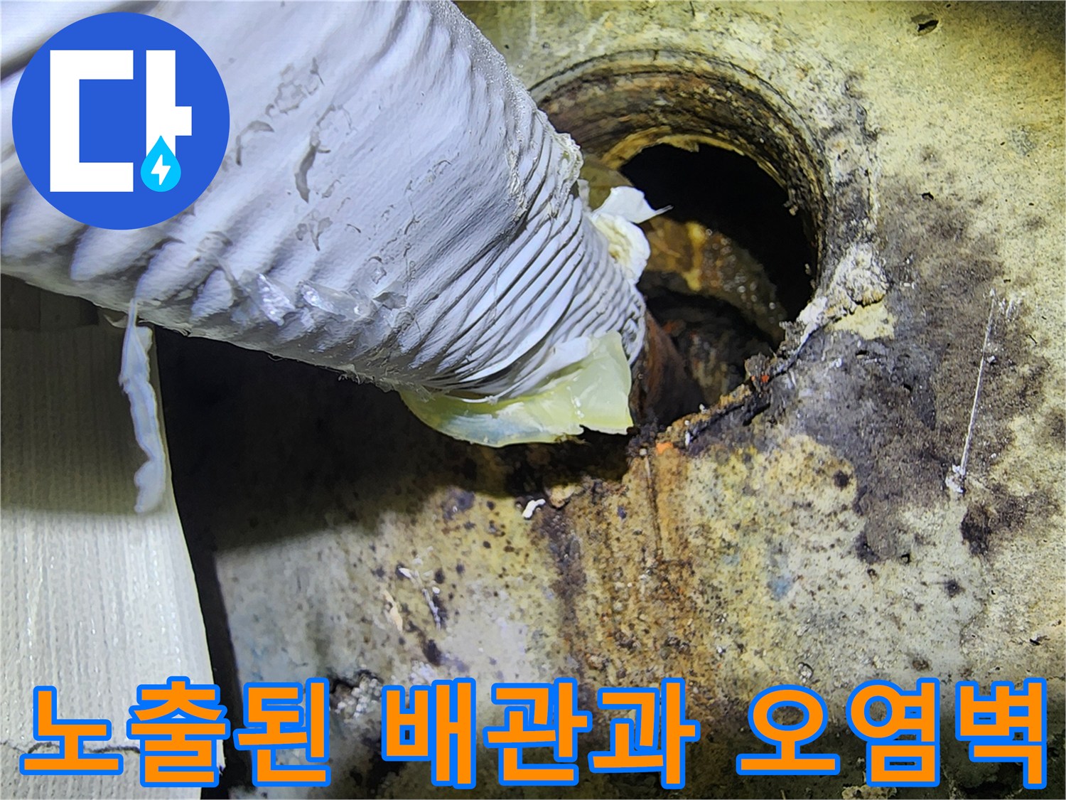 누수가-발생한-배관-주변의-오염된-부위
