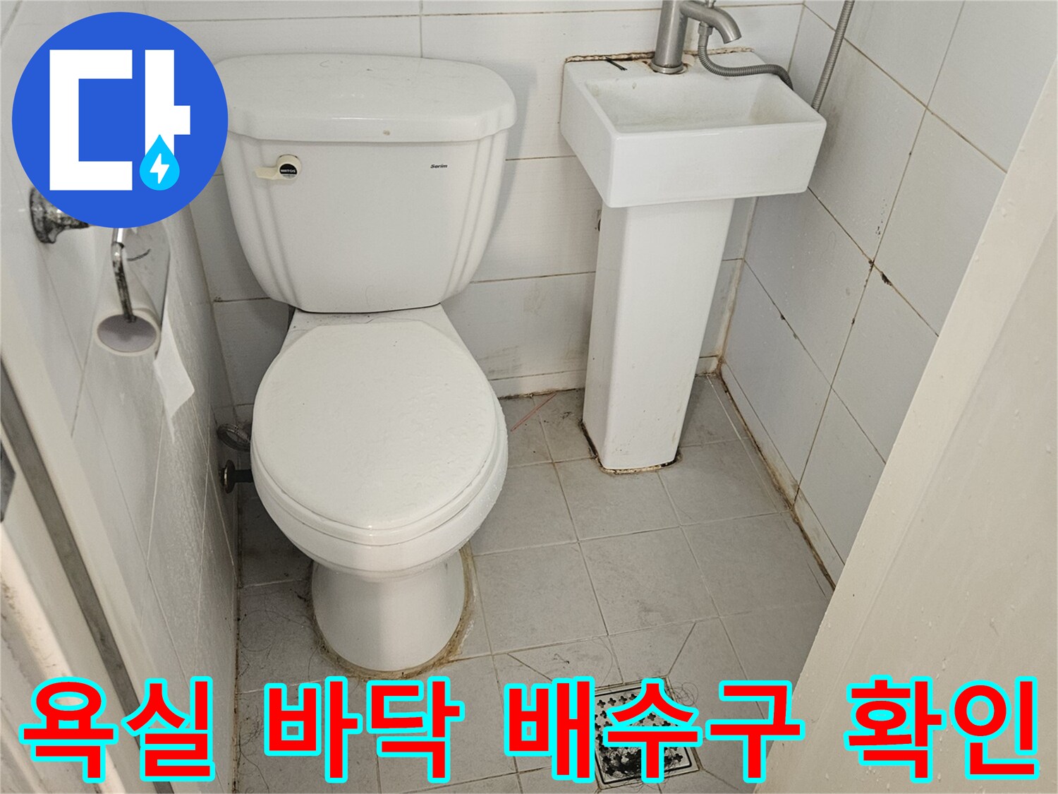 화장실-배수구-주변-타일-및-변기-하단-점검