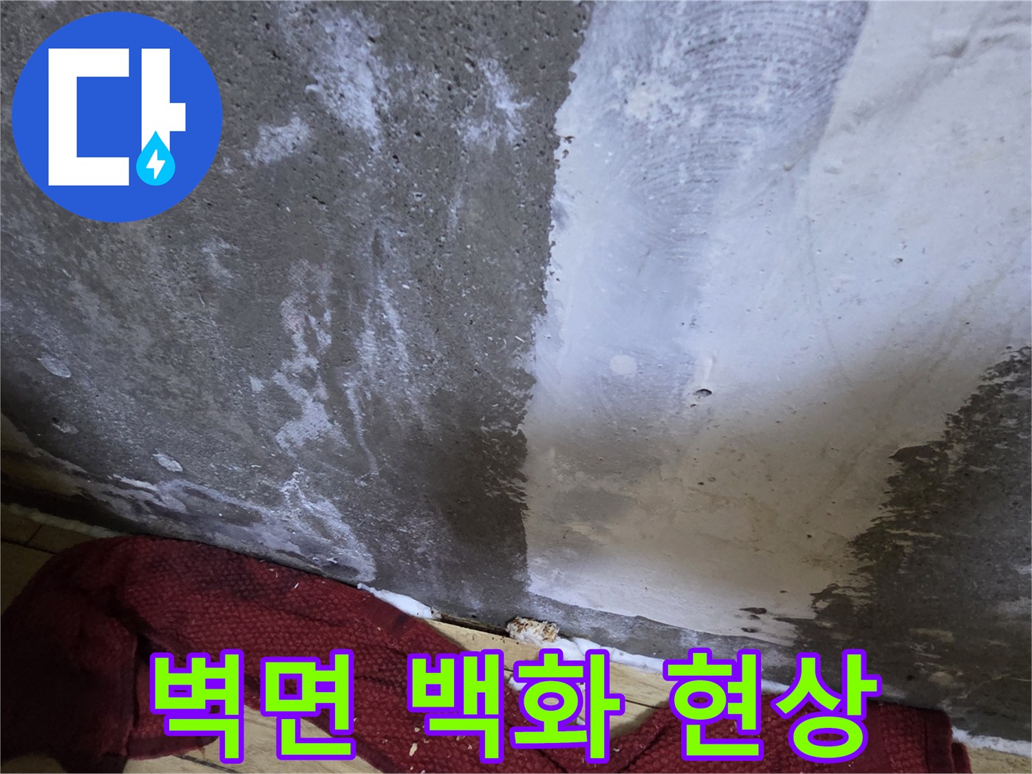 물기-머금은-콘크리트-벽면의-백화현상