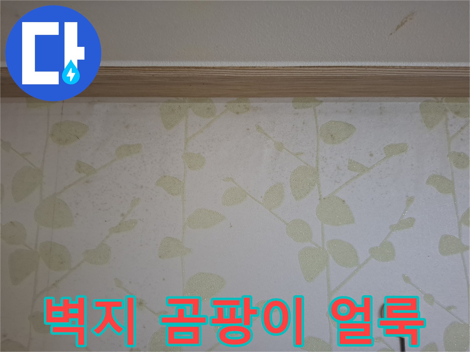 습기로 인해 거뭇하게 변한 벽지 하단