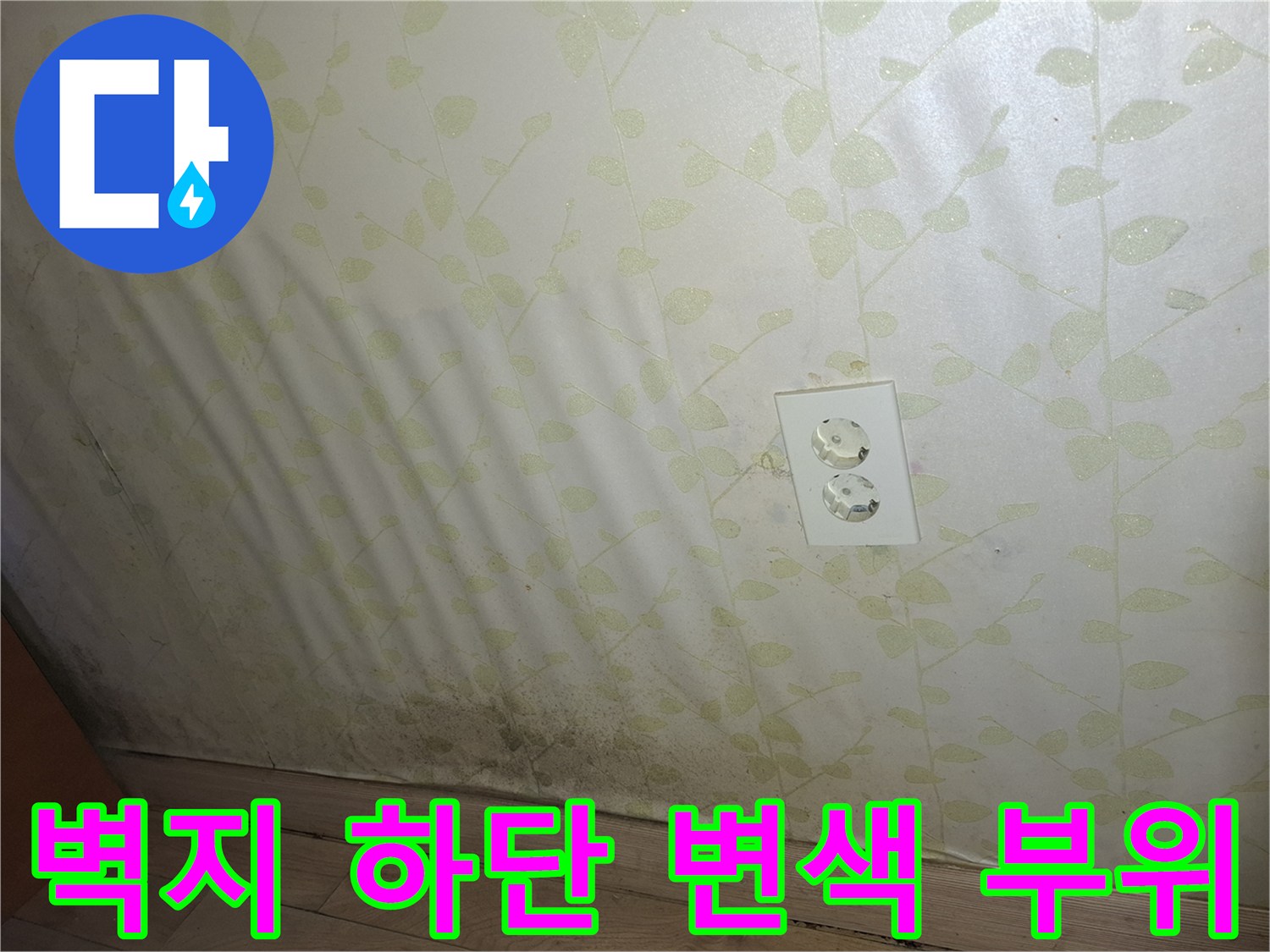 습기로-인해-얼룩진-풀잎무늬-벽지