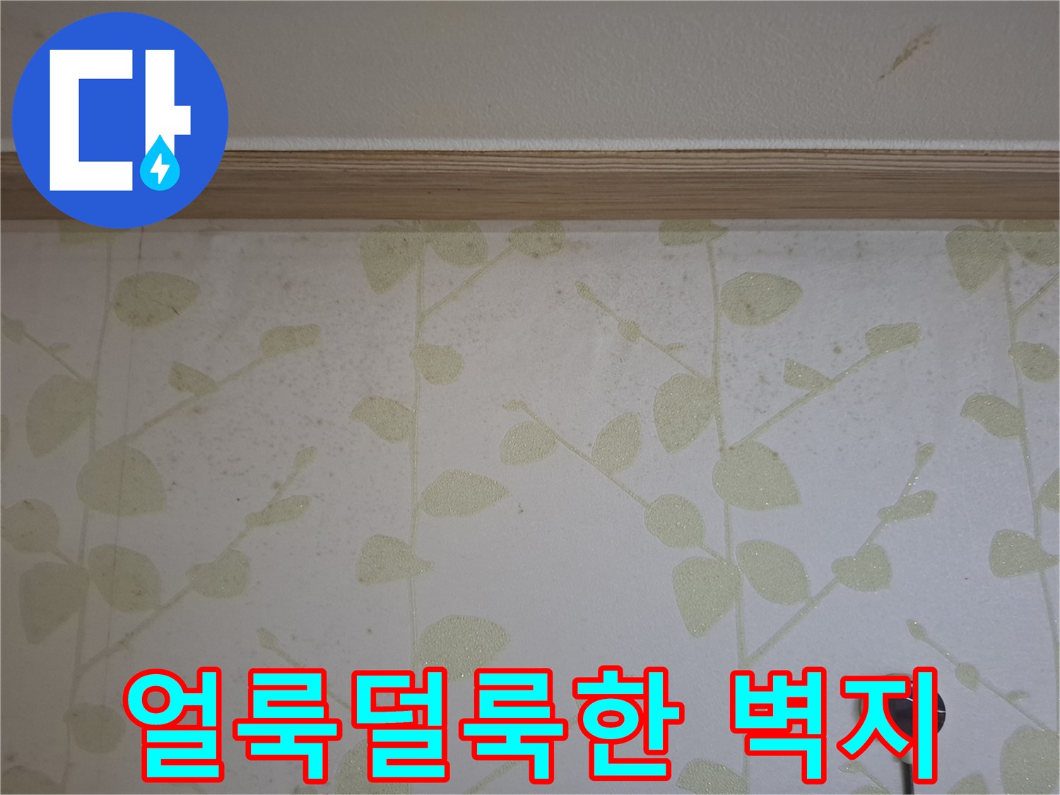 습기로 인해 오염된-벽지의 패턴