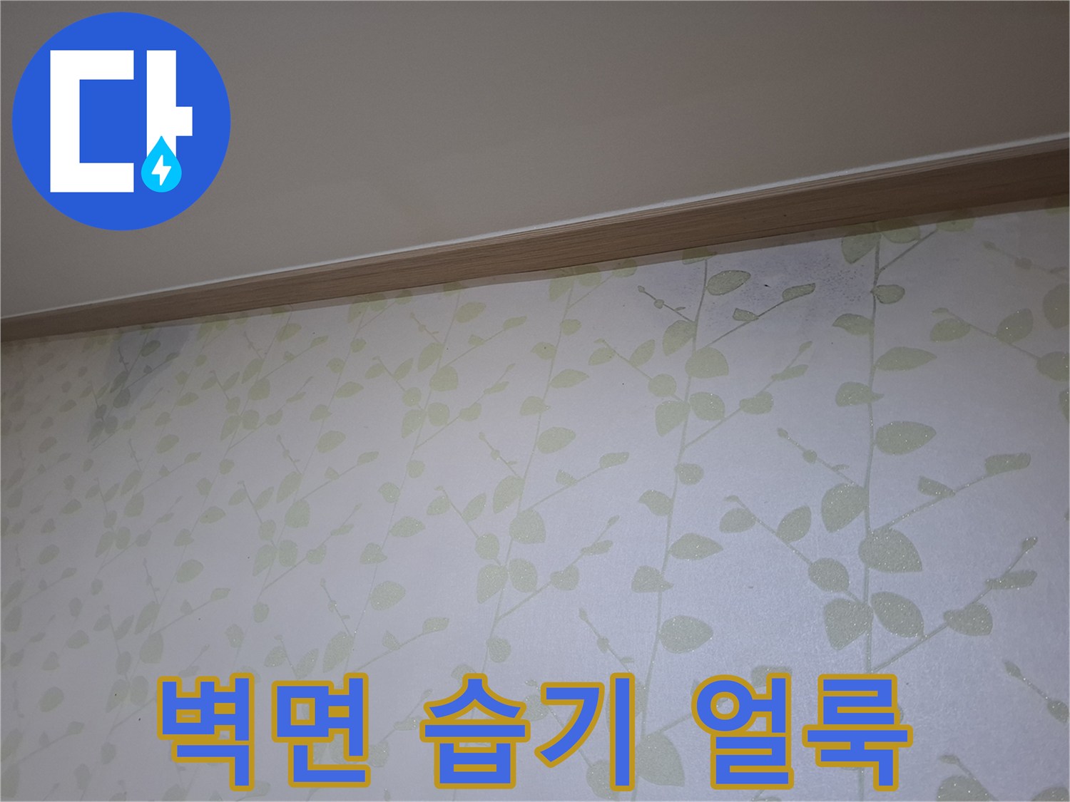 천장 몰딩 하단의 젖은 벽지 표면