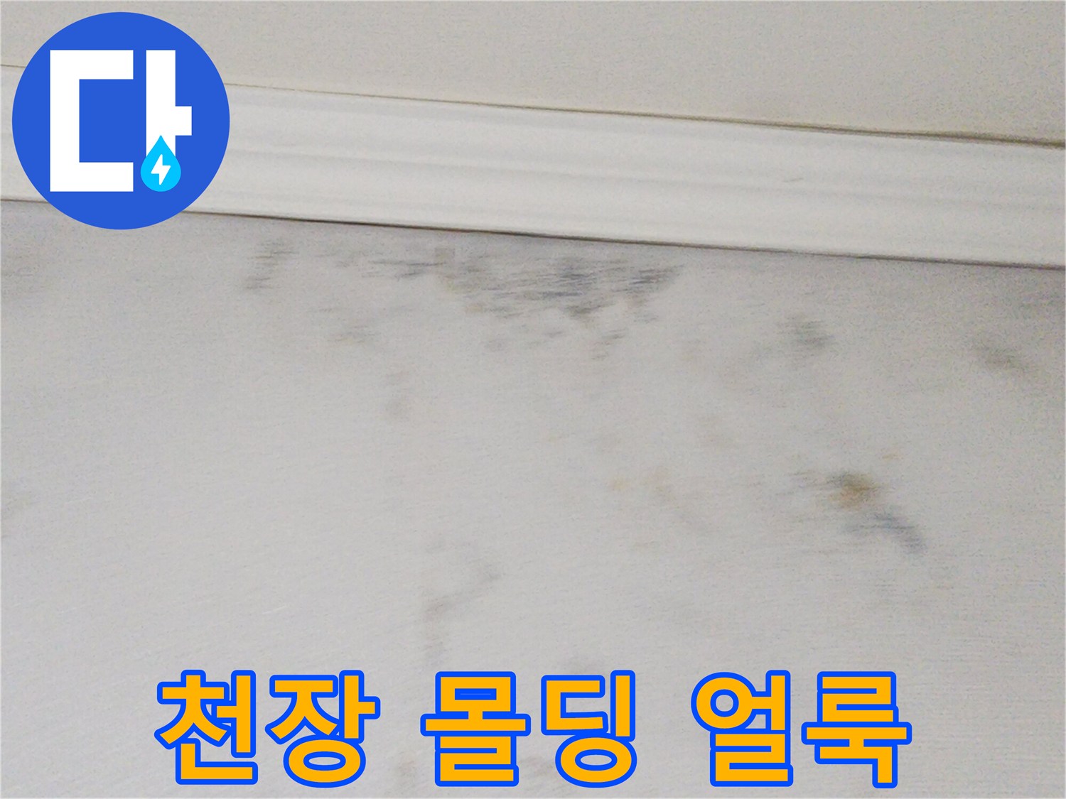 천장-몰딩-아래로-퍼진-물샘-흔적