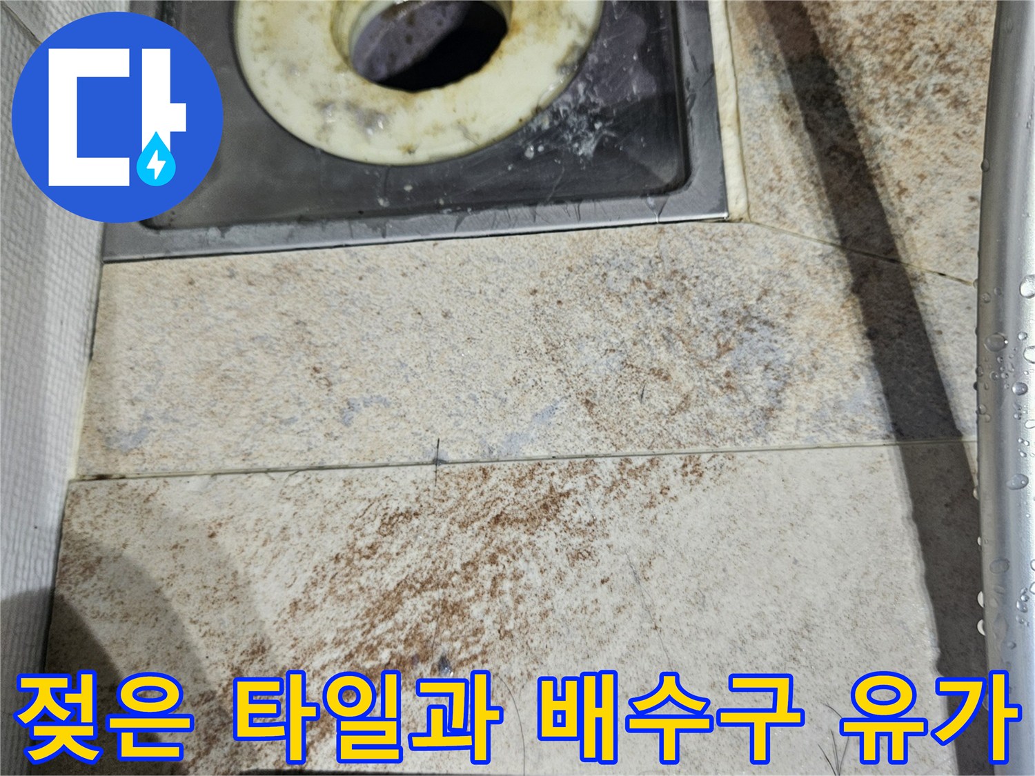 누수로-인해-젖어있는-화장실-배수구