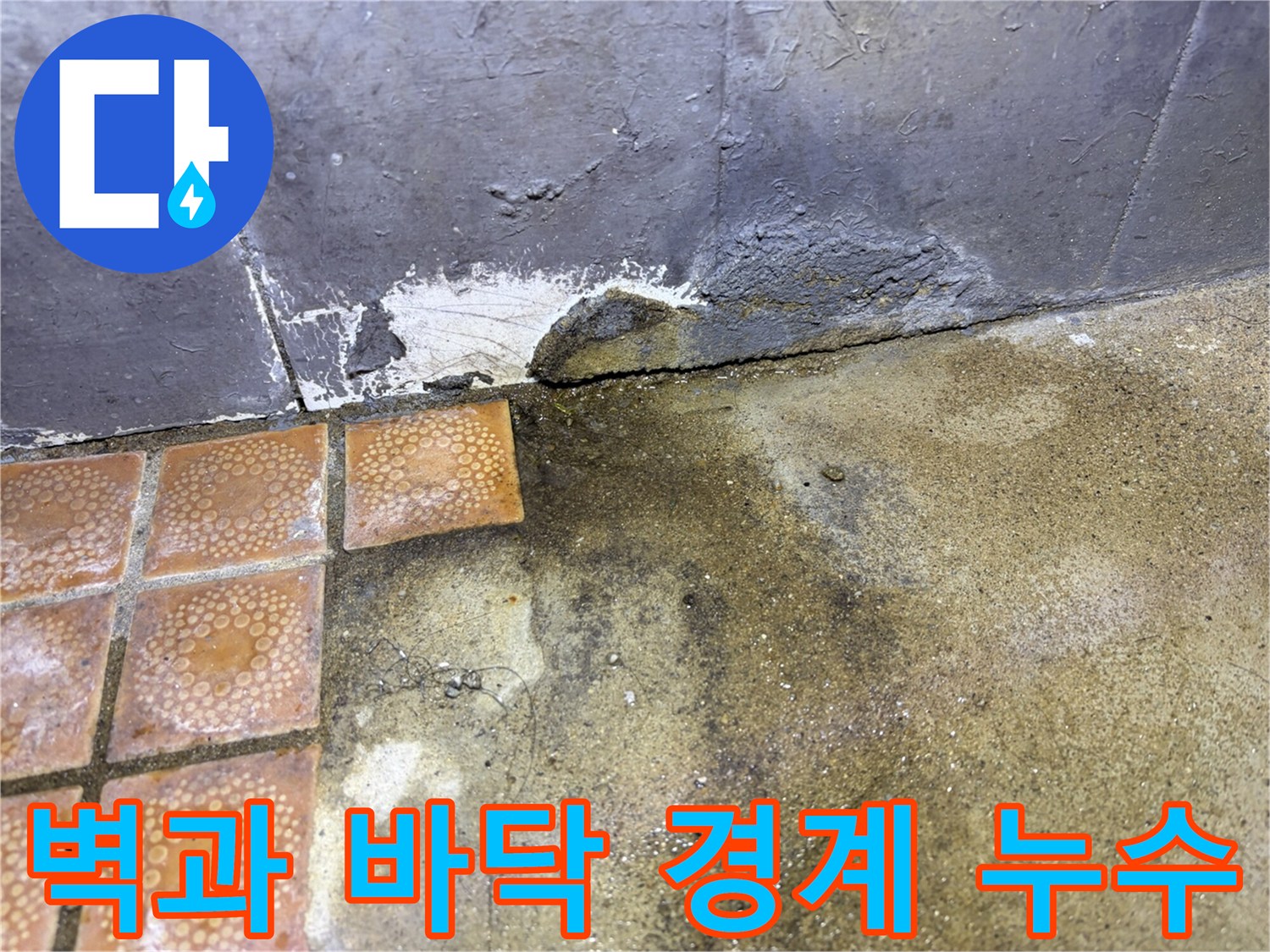 습기가-번져있는-욕실-바닥-모서리
