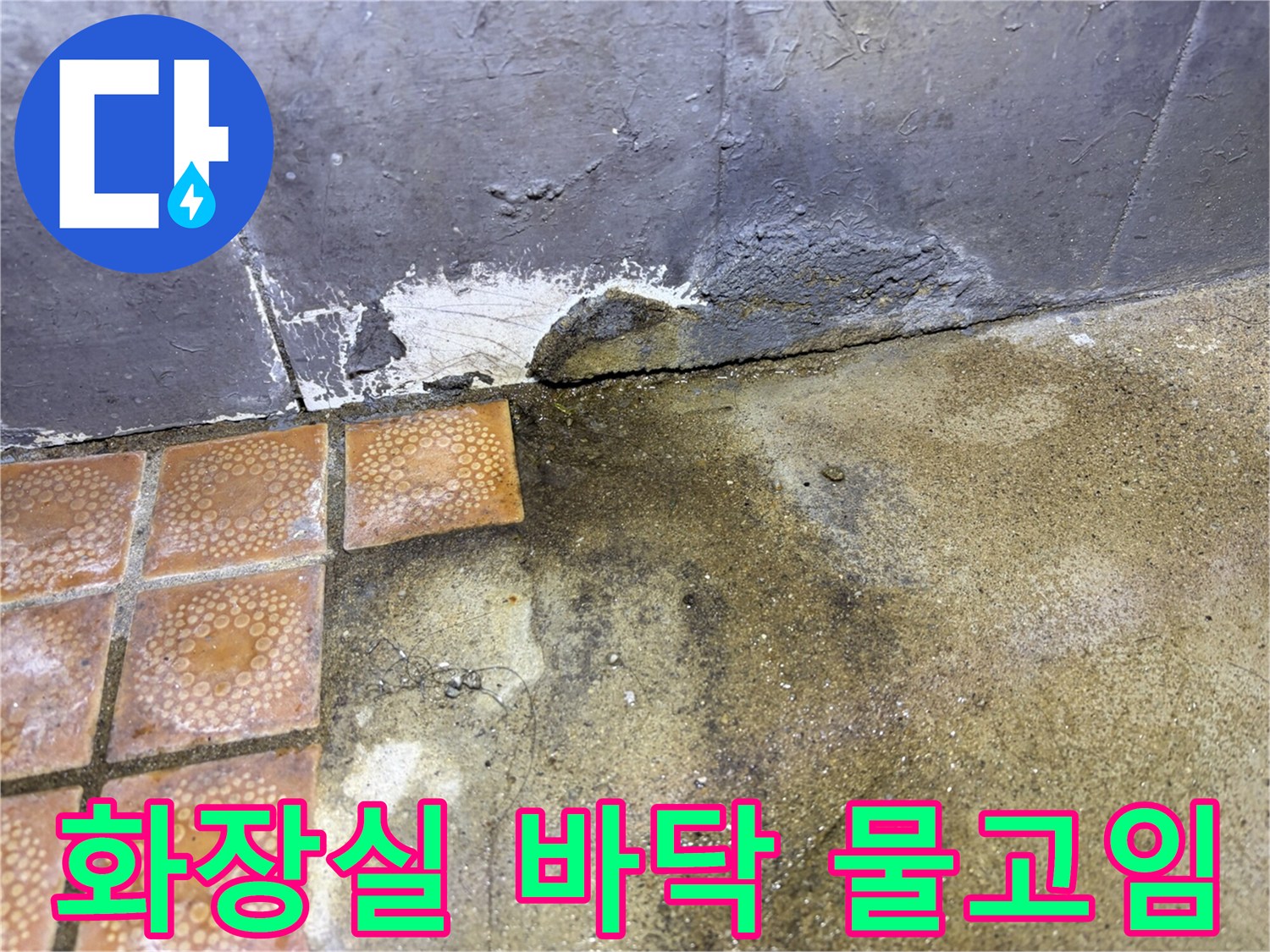 화장실-바닥-타일-틈새-물고임-현상