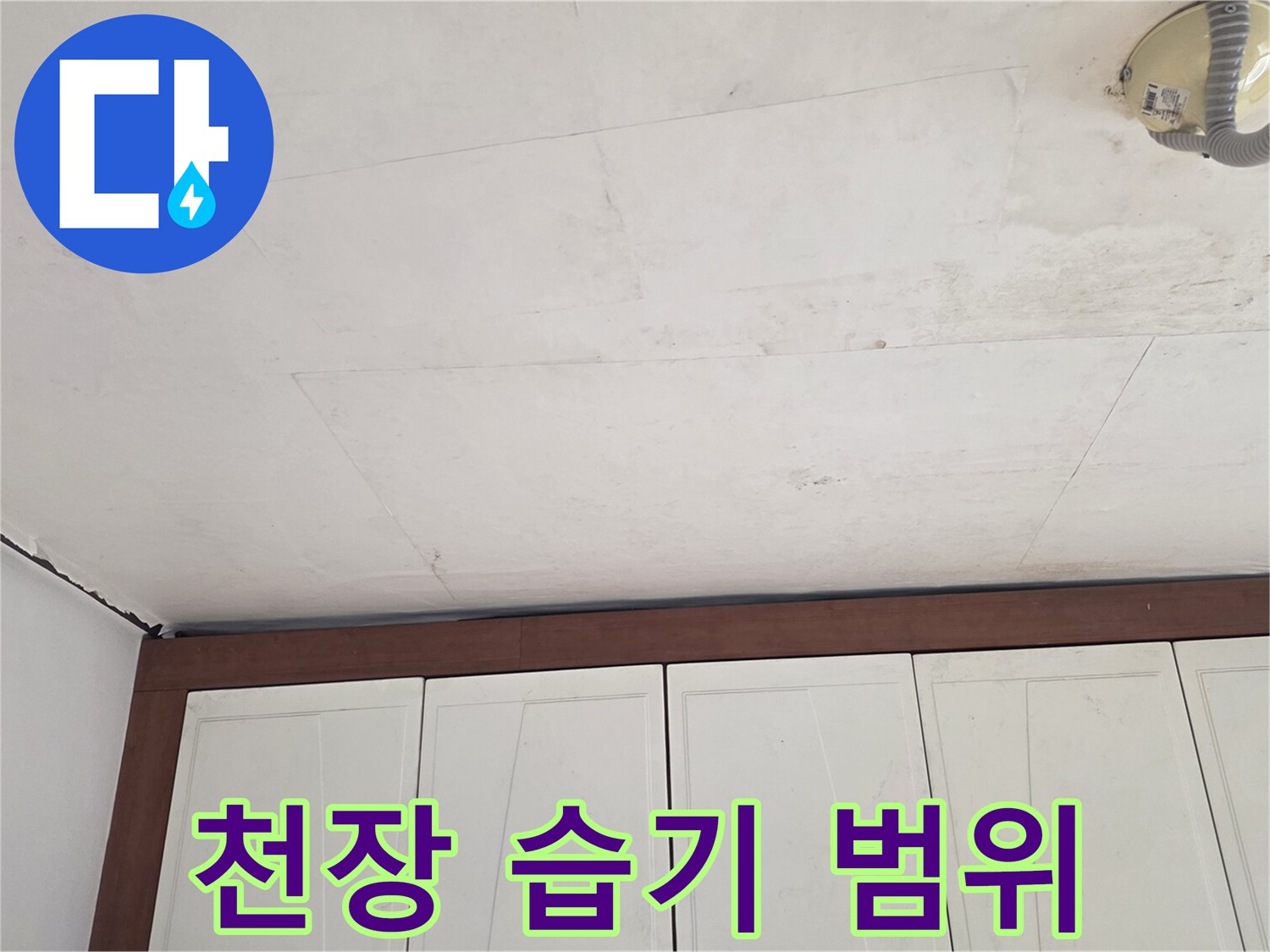 넓게 퍼진 천장의 수분 침투 흔적