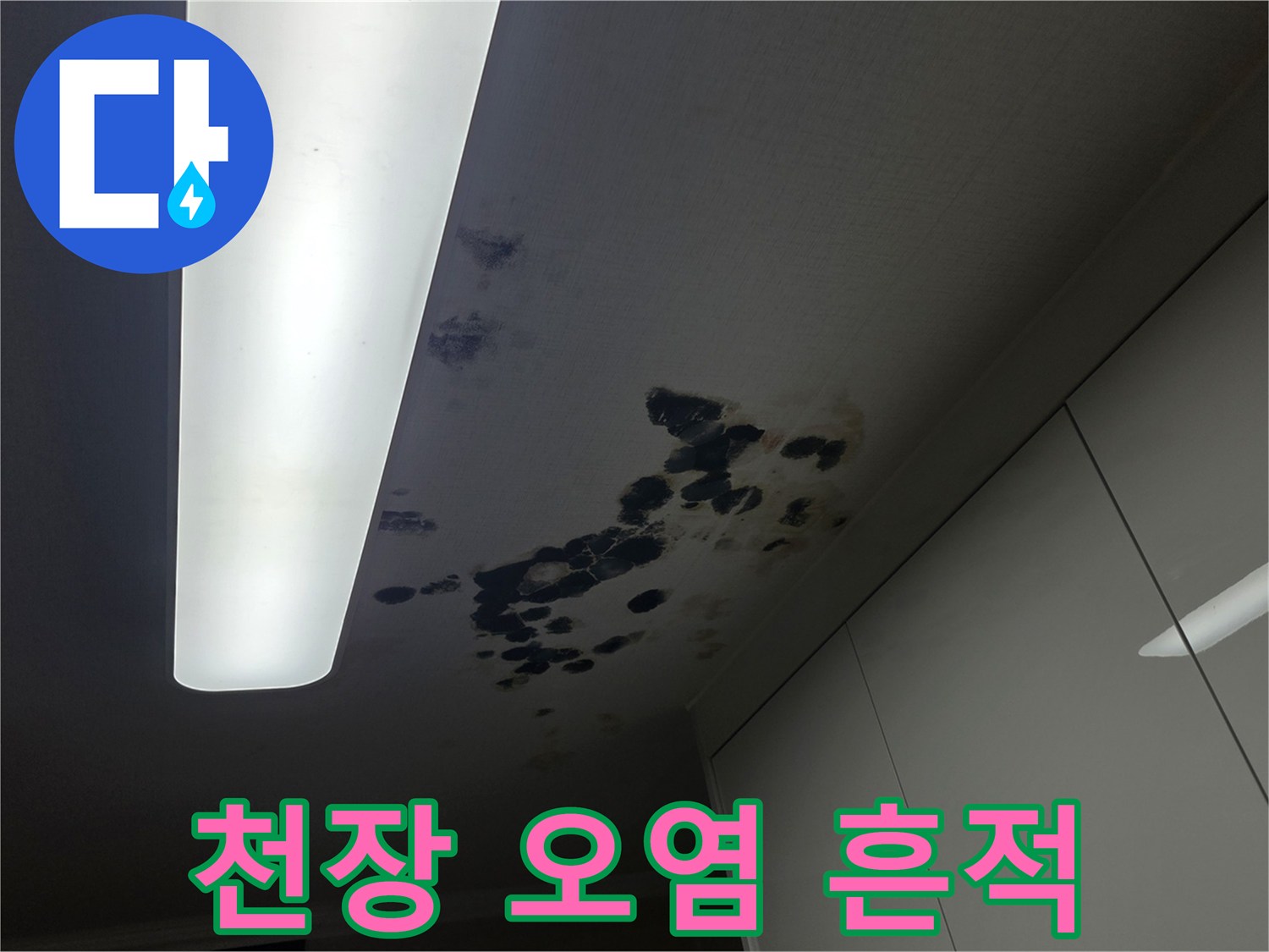아래층-거실-천장-물샘-및-오염-확인
