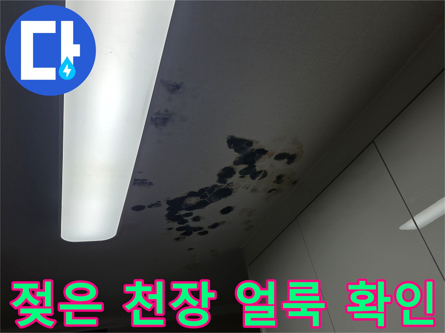 천장-내부-습기-및-물샘-얼룩-사진