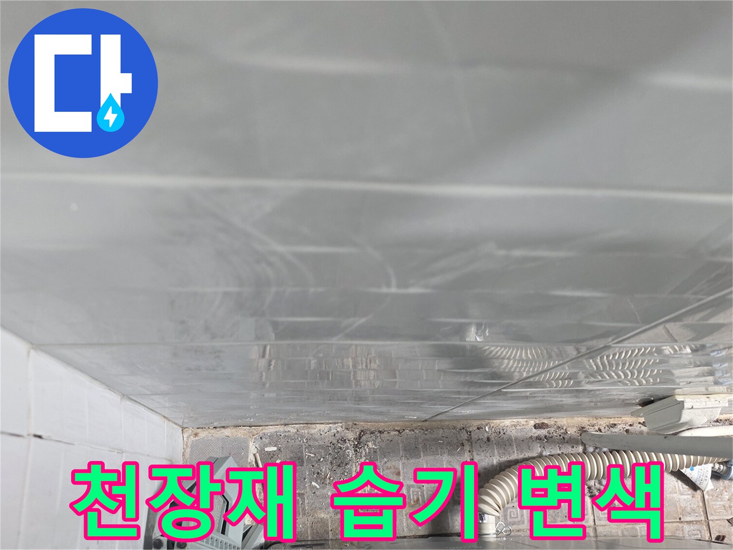 축축하게 젖은 흔적이 있는-천장 마감재입니다.