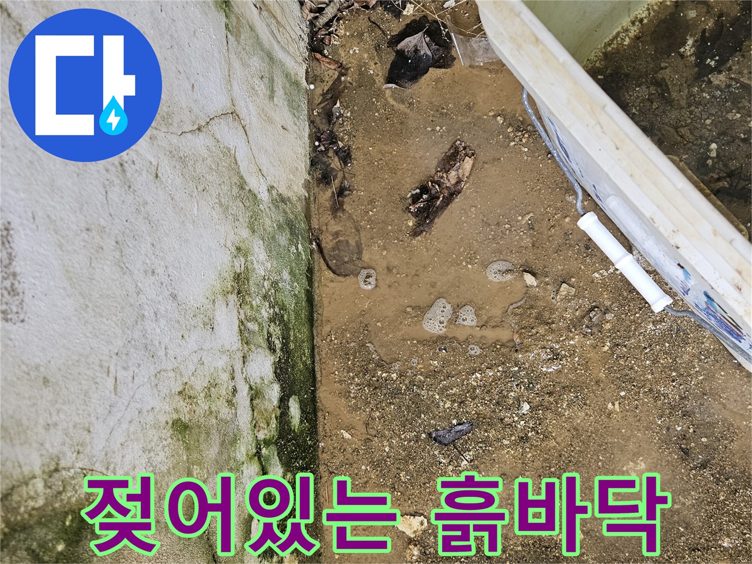 물샘-현상이-발생한-축축한-지면