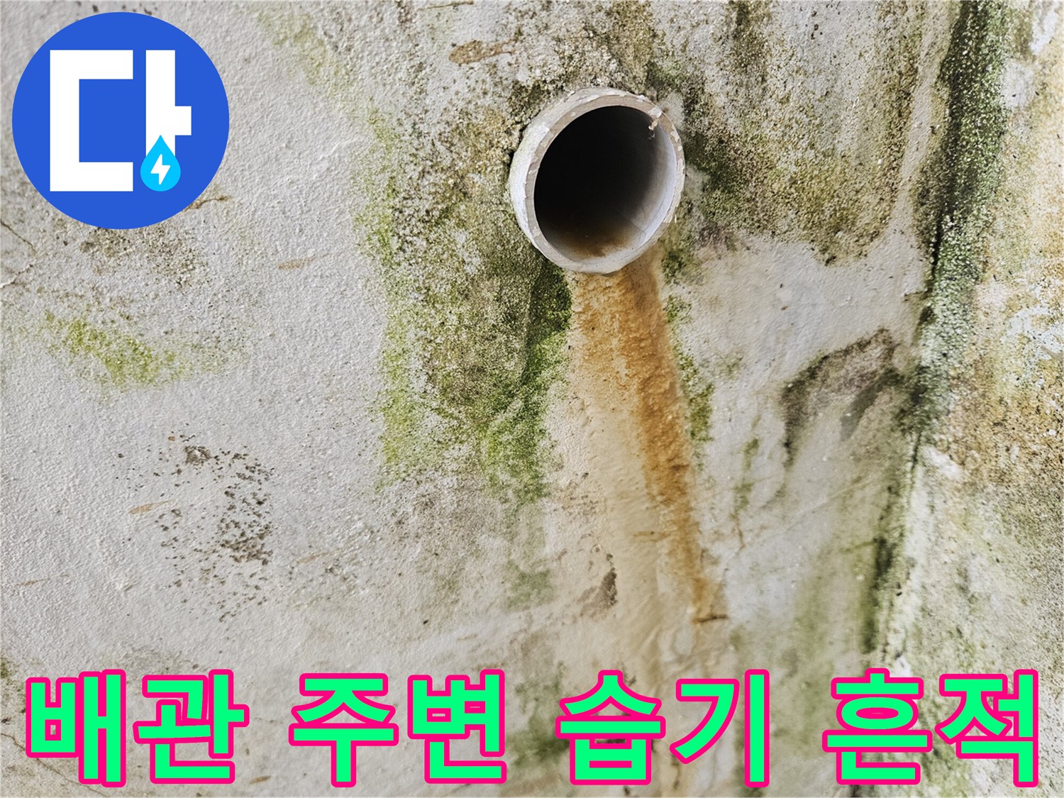 배관-주변의-습기와-곰팡이-흔적