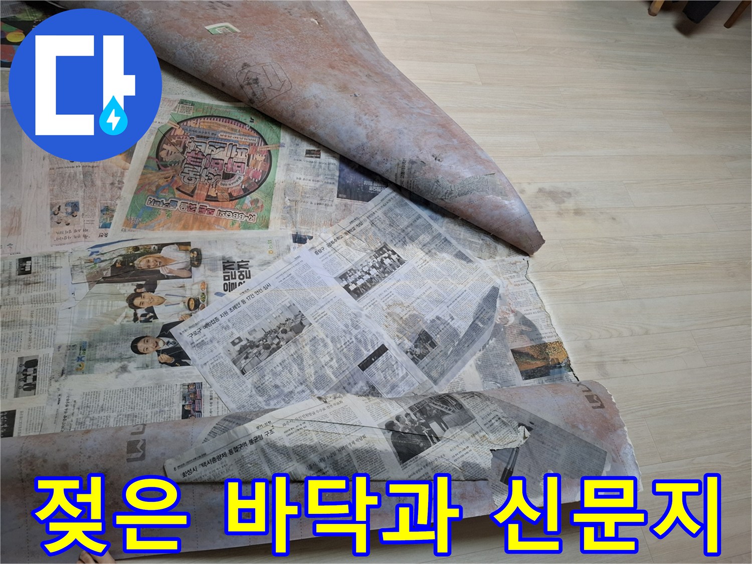 습기가 가득한-마루 바닥의-모습