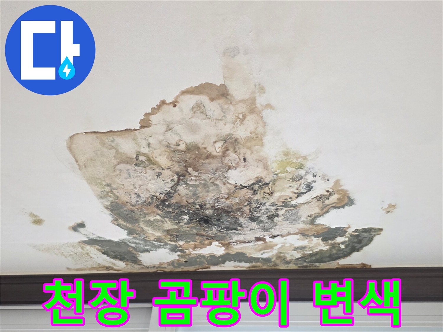 미추홀구-아파트-천장-벽지-오염