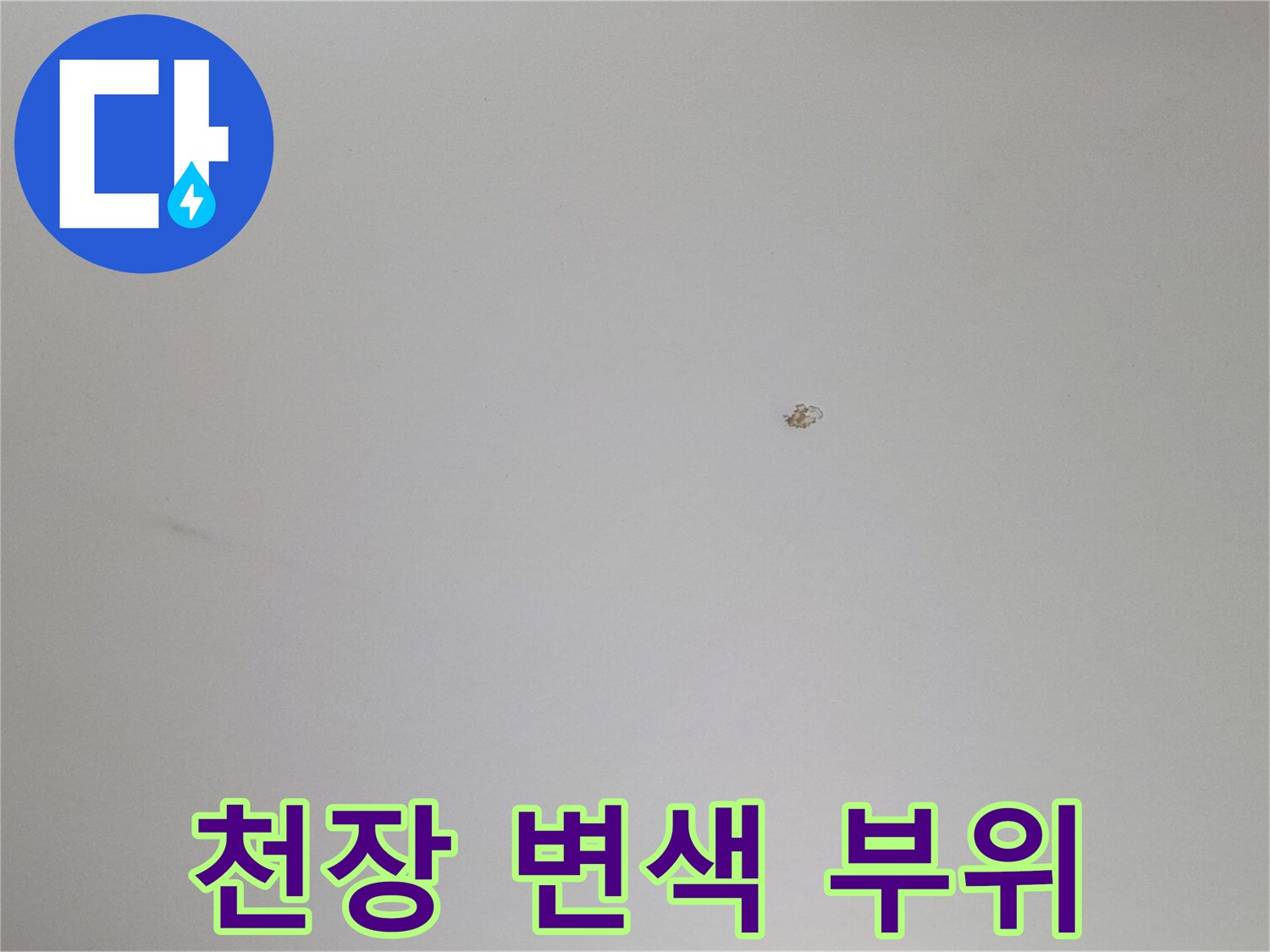 하얀 천장 위 작은 갈색 얼룩
