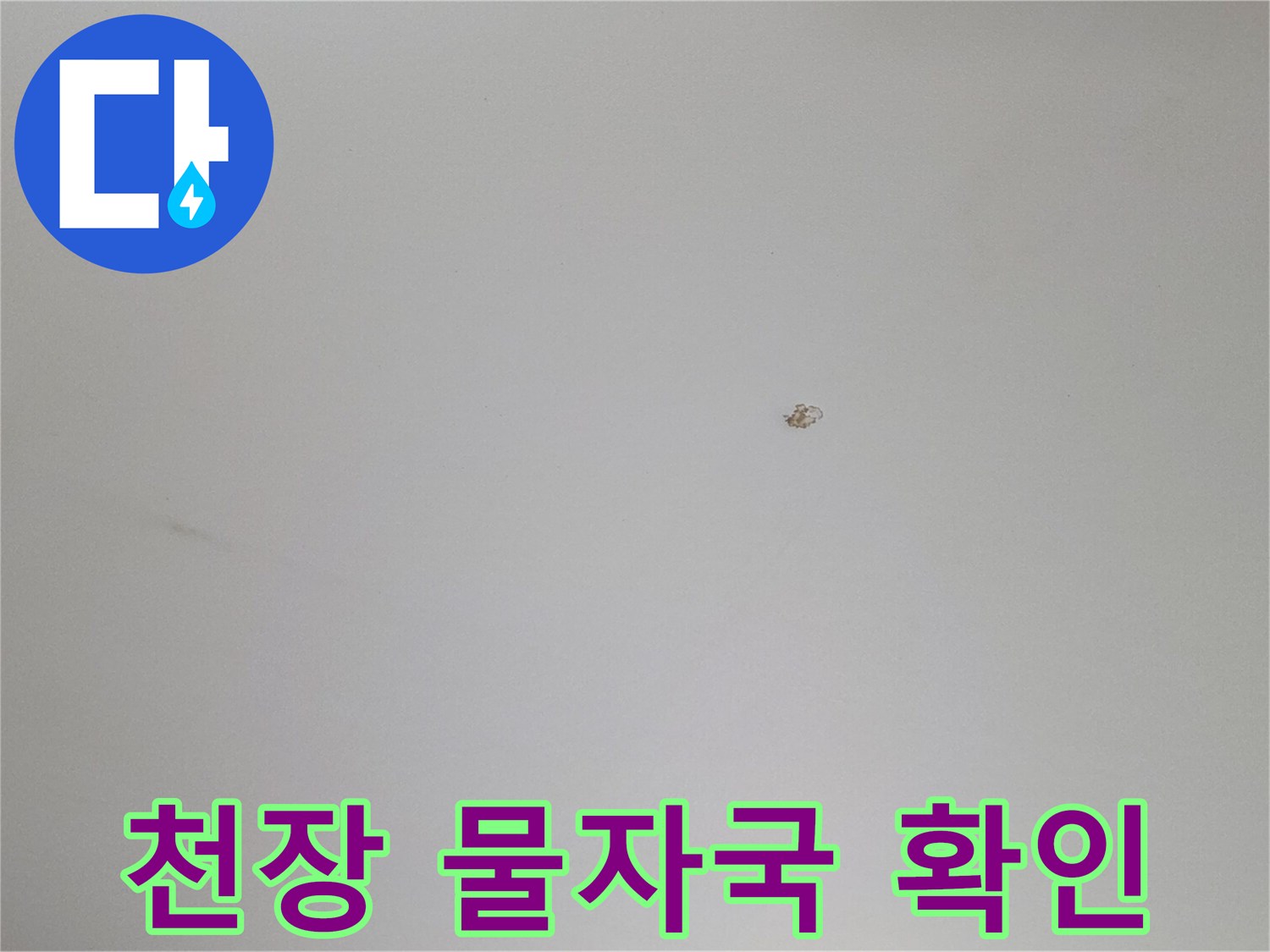 흰색 천장에 나타난 작은 갈색 얼룩