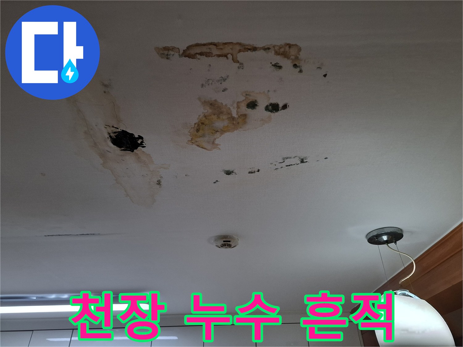 천장에 발생한 갈색 물자국과 곰팡이 사진