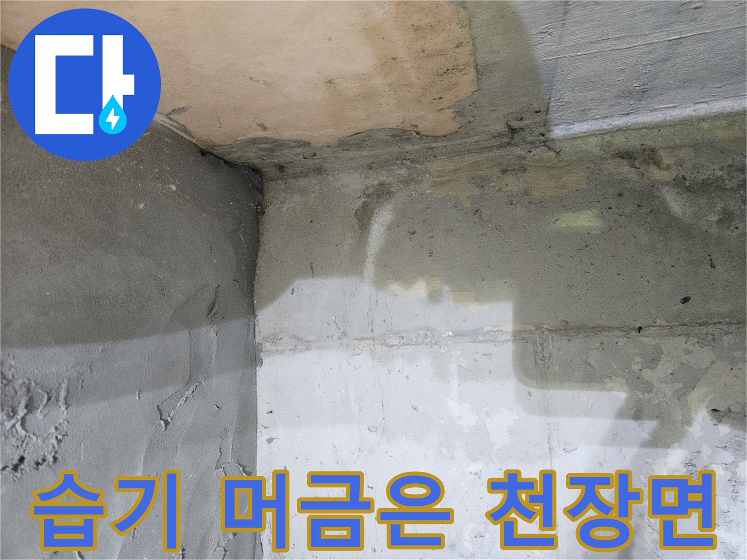 천장-콘크리트-부위의-누수-및-습기-흔적