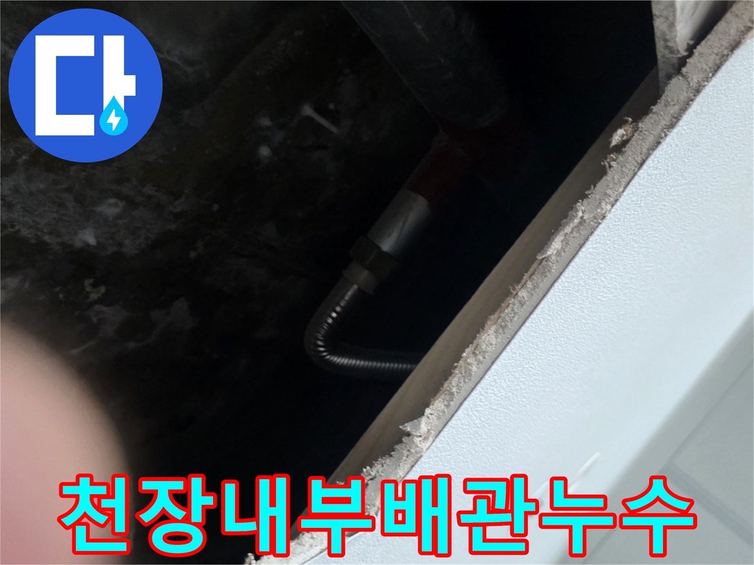 싱크대-밑-천장-슬래브-젖음-현상-포착