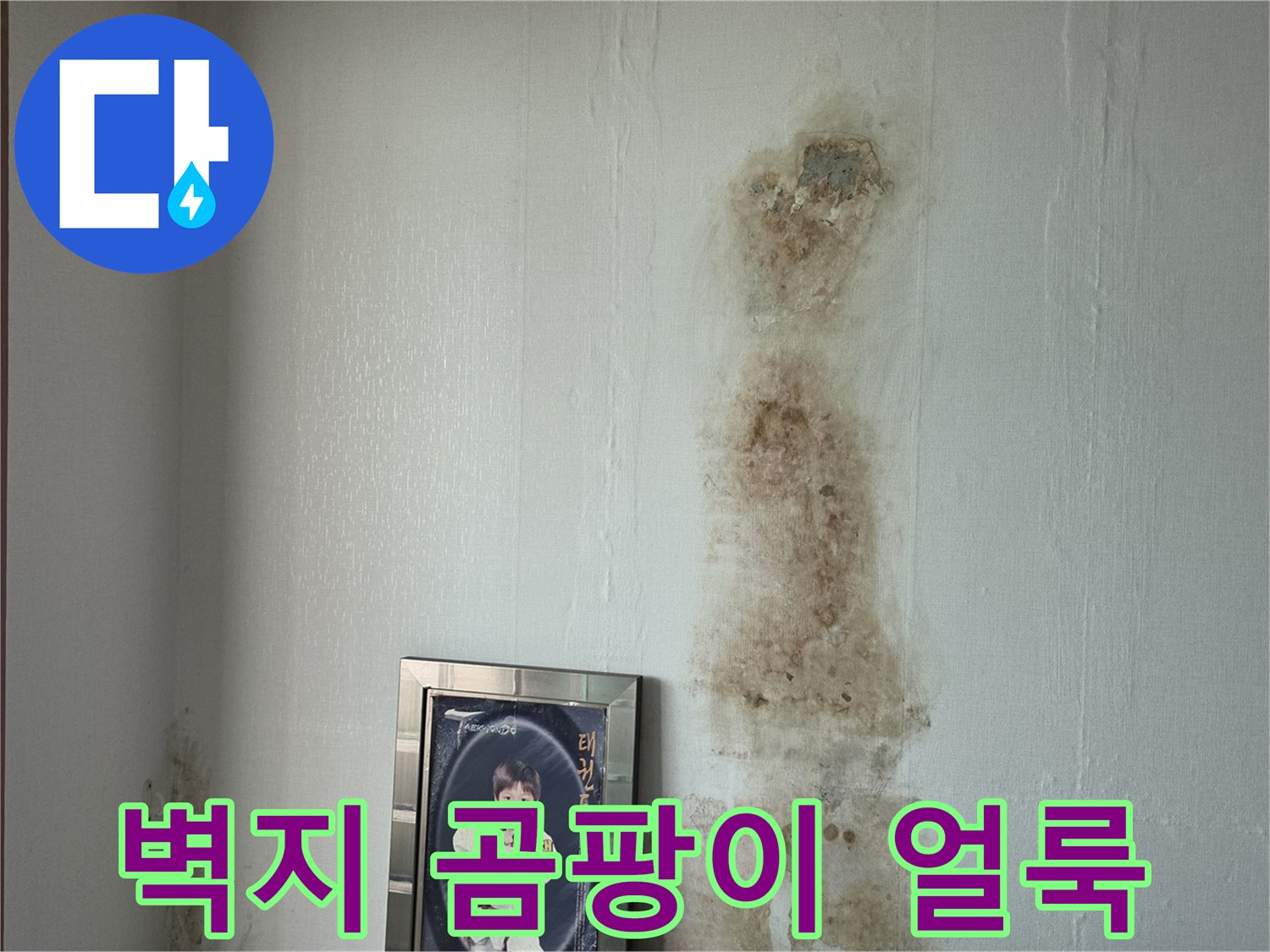 흰색 벽지에 발생한 누수 흔적과 곰팡이