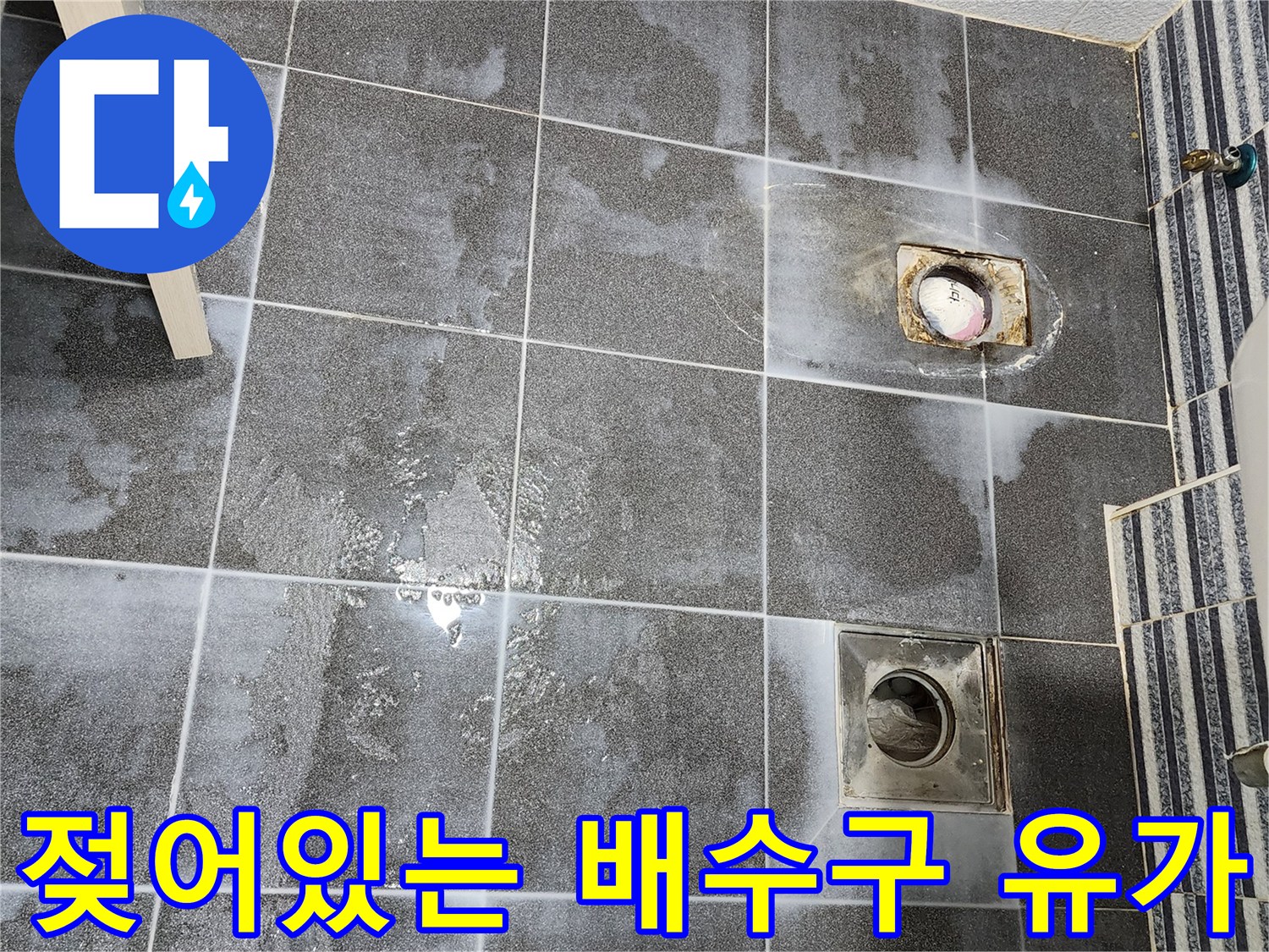 화장실-배수구-주변-타일-물기