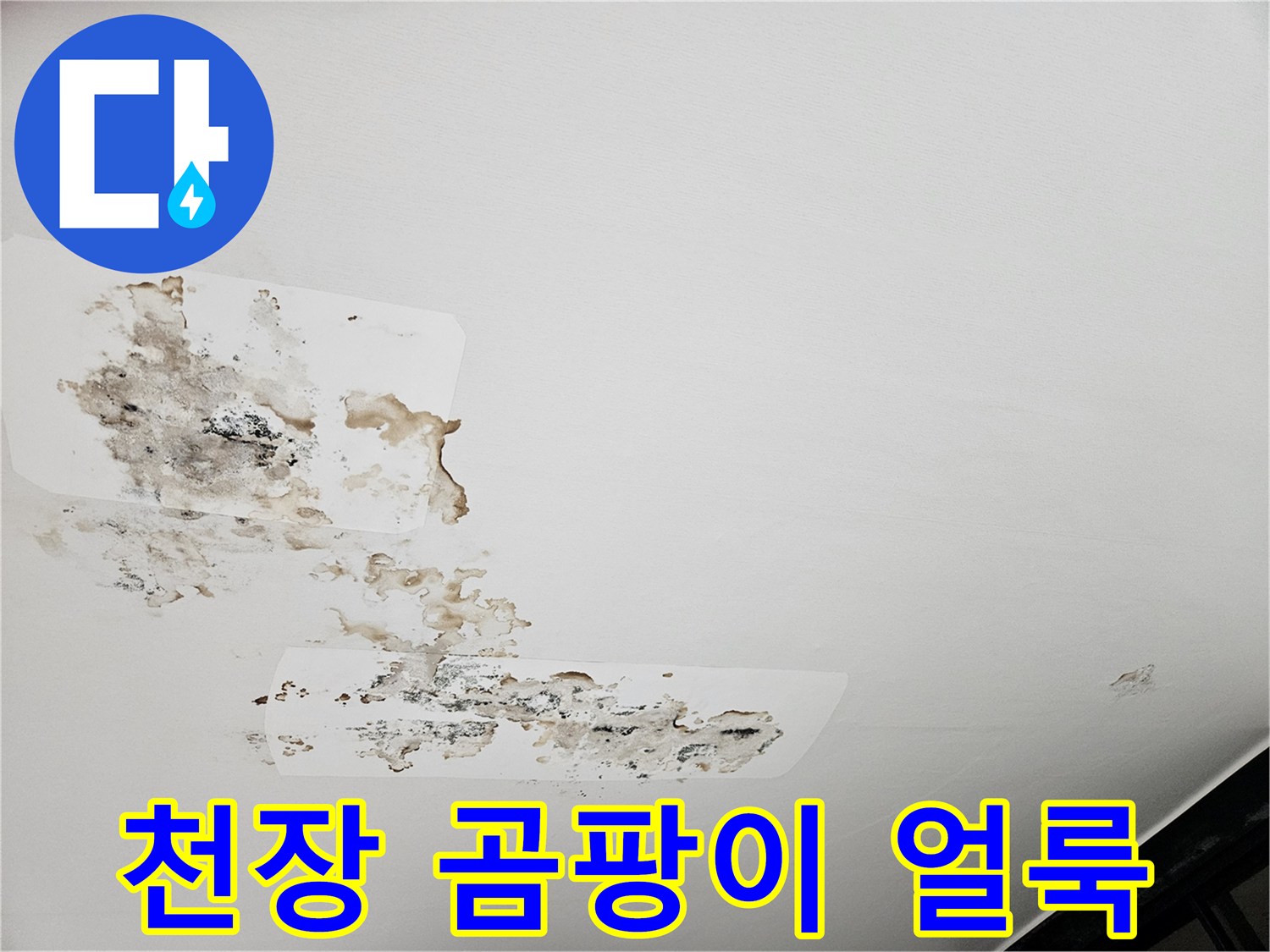 습기로-오염된-아랫집-천장-마감재-상태