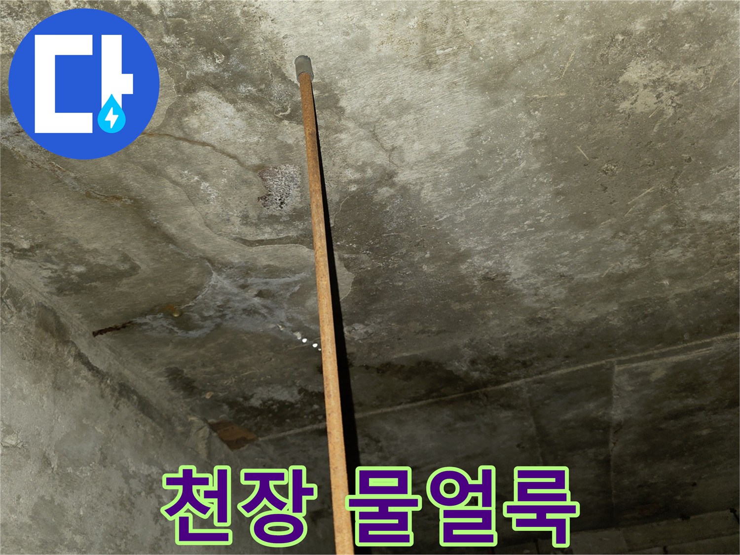 넓게 퍼진 천장 누수 얼룩과 변색 부위