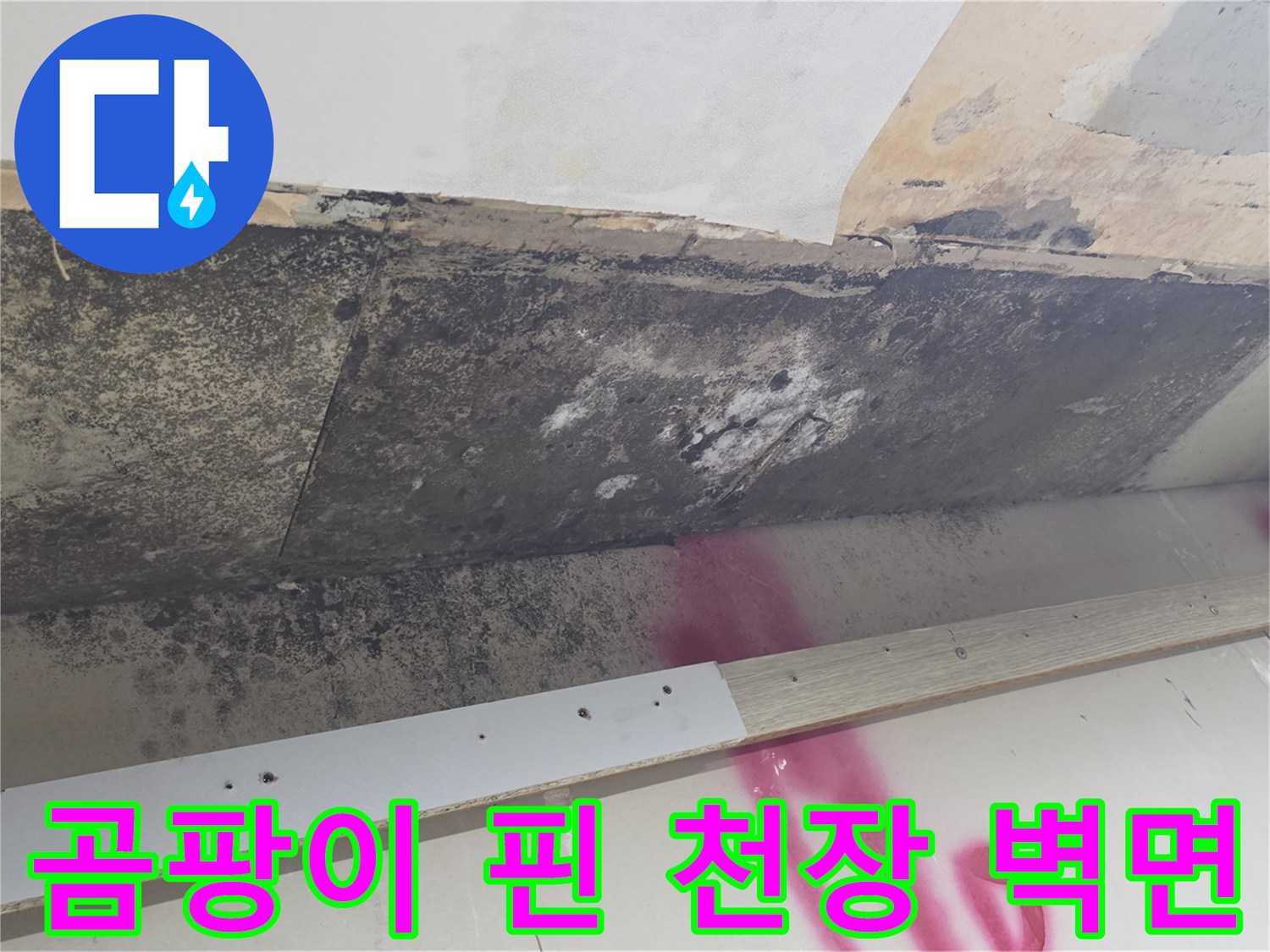 물샘으로 인해 곰팡이가-발생한 주방 천장