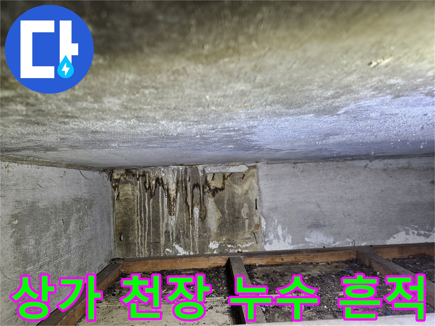 일산동구-상가-천장-누수-얼룩-확인