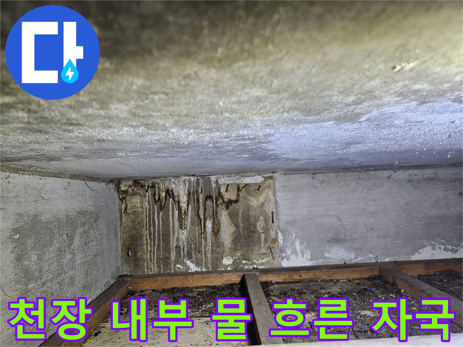 일산동구-상가-천장-물샘-흔적-관찰