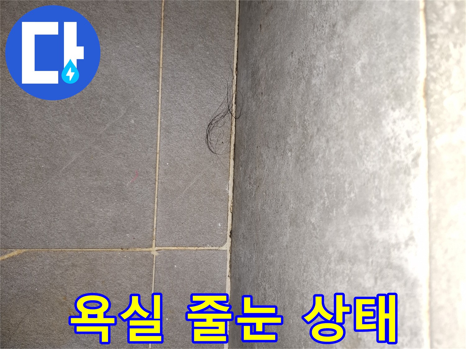 화장실-타일-사이-빈틈-관찰