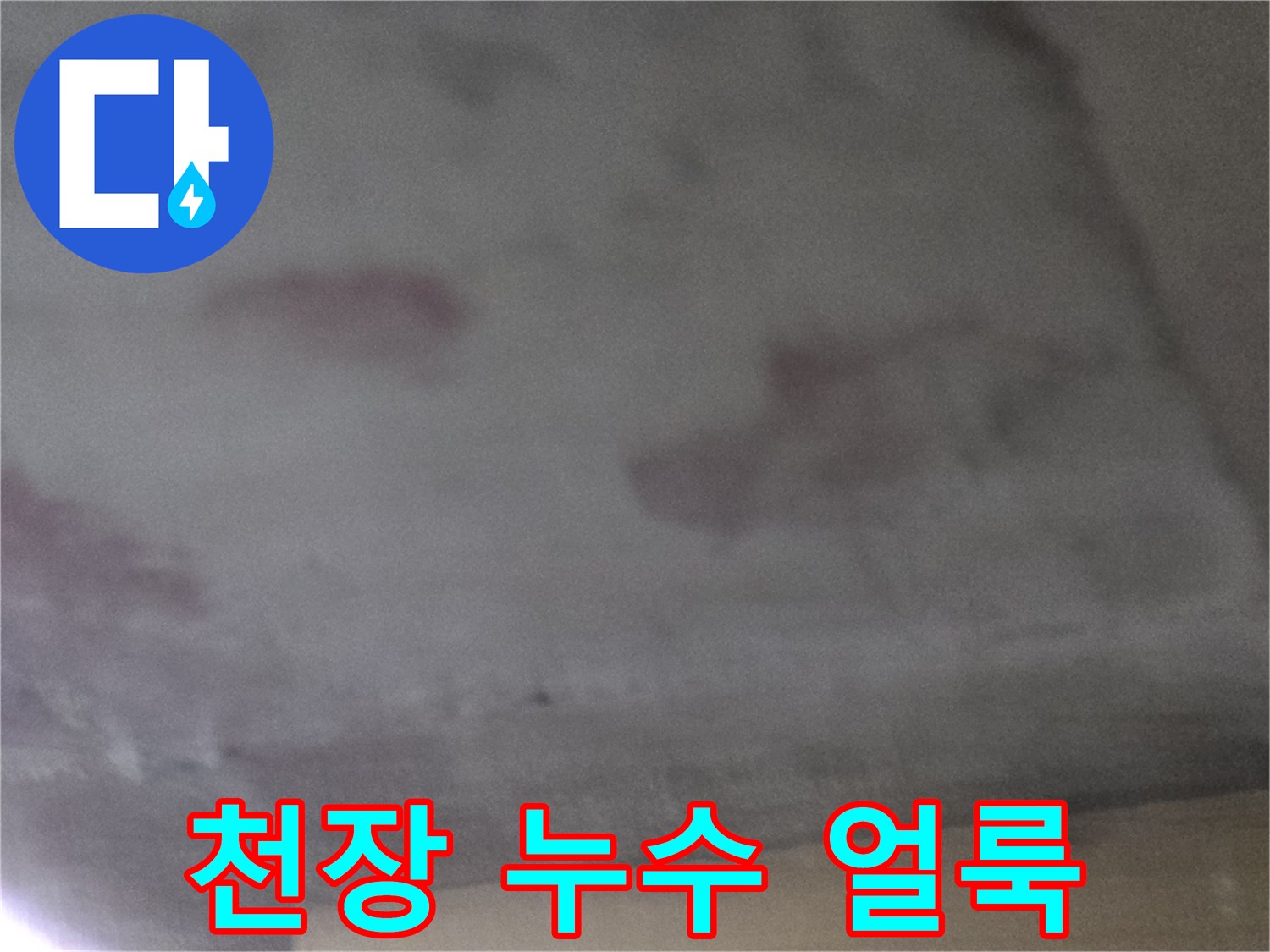 오피스텔-거실-천장에-발생한-젖은-얼룩-상태
