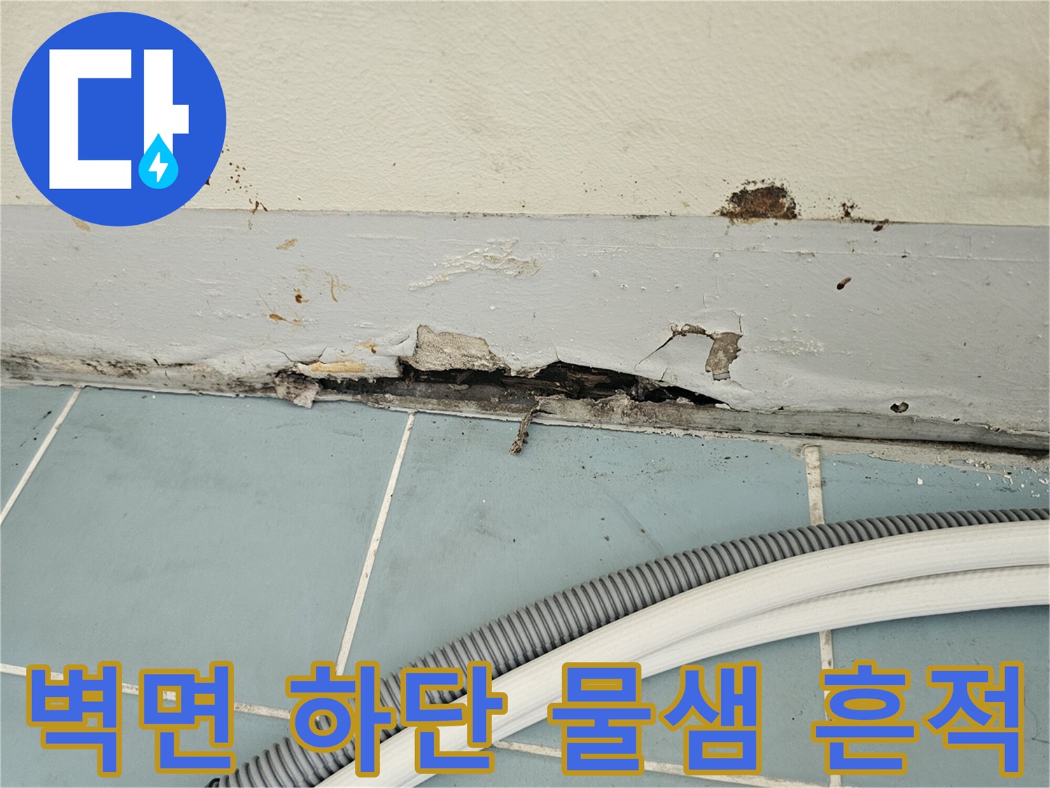 습기로-오염된-세탁실-벽면-하단부