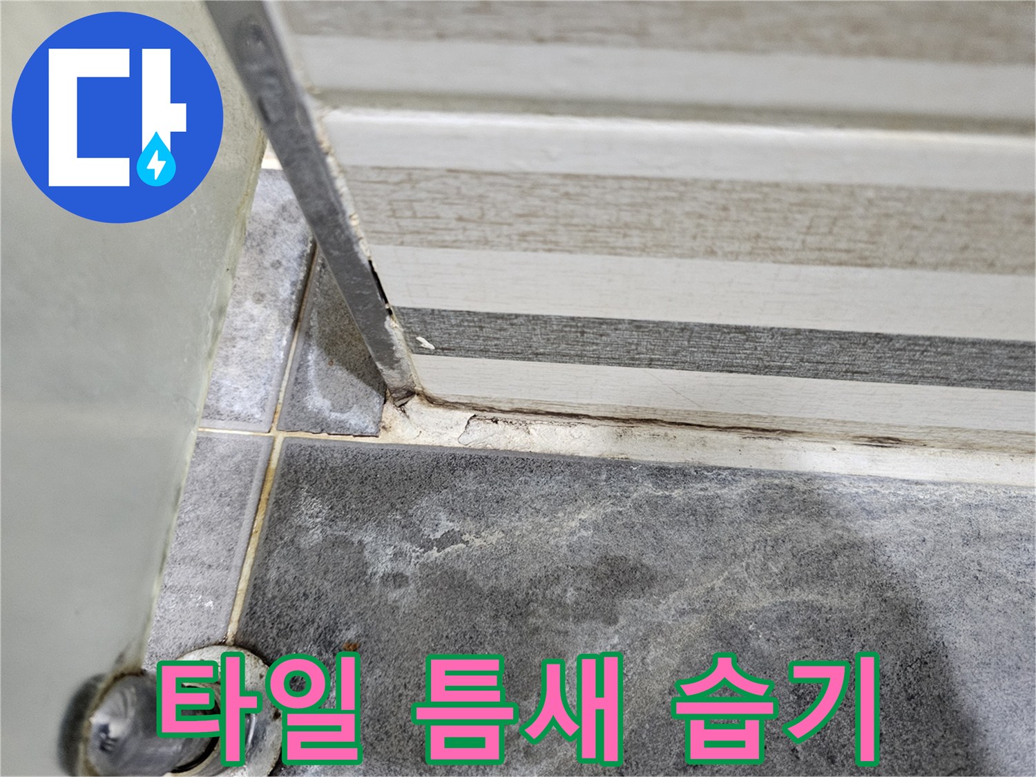 욕실-타일-경계-부분-습기-유입