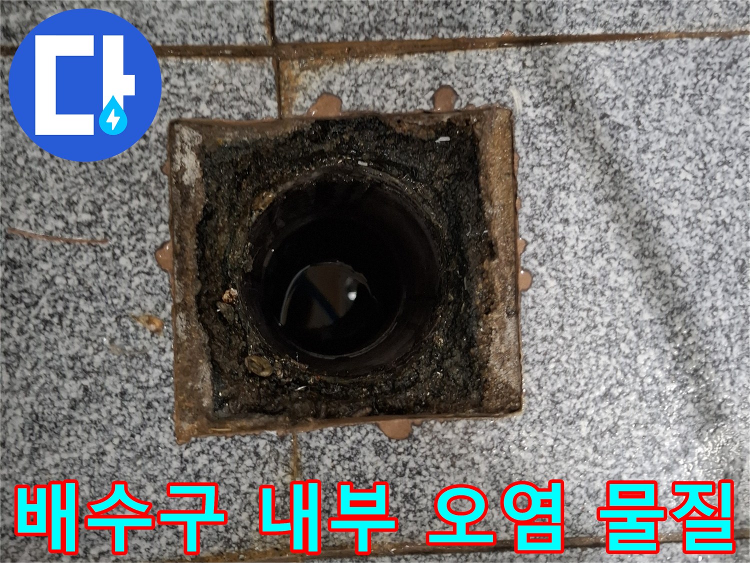배수구 안쪽의 찌꺼기와 물기가 섞인 상태