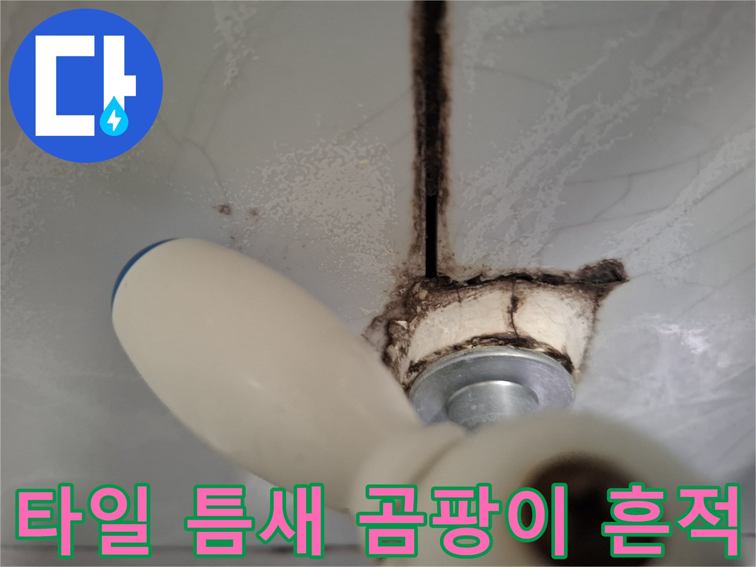 수전-하단-타일-틈새의-검은색-물때와-습기