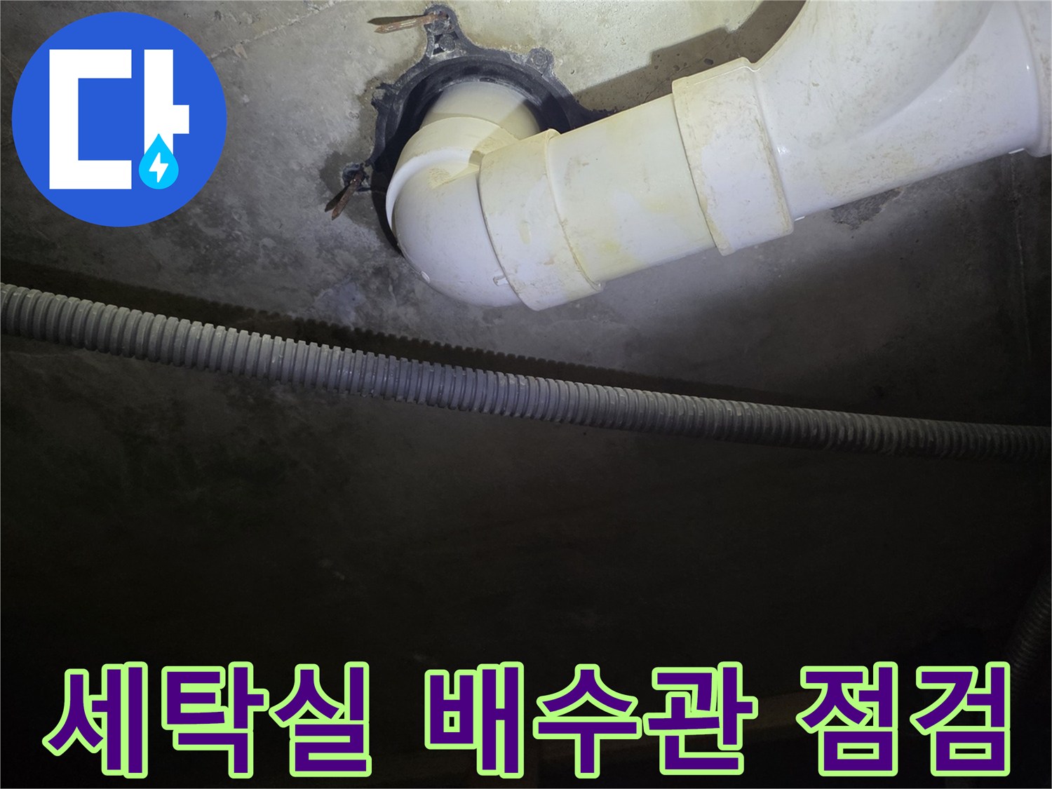 서대문구-세탁실-배수관-누수-지점-확인-현장
