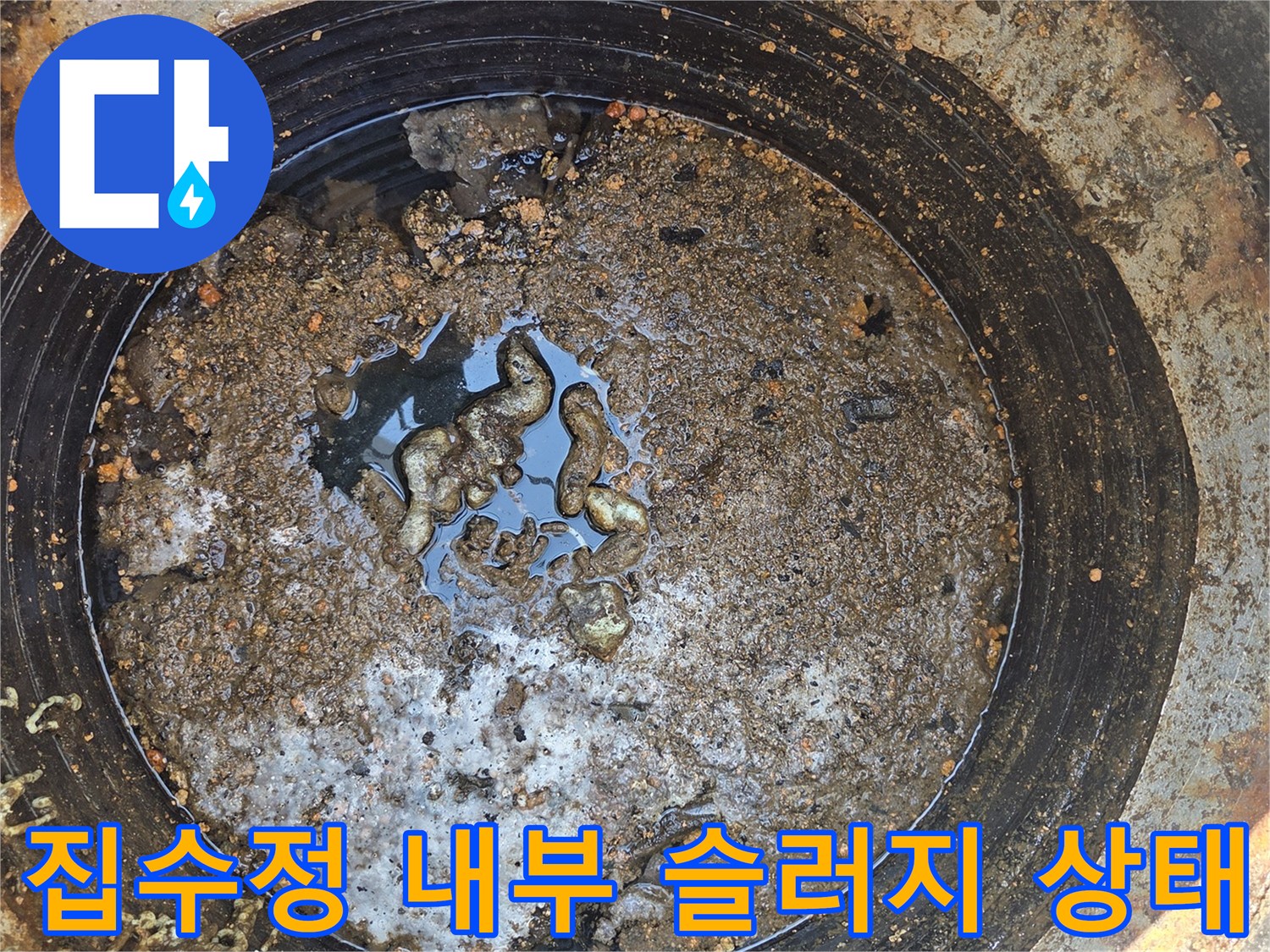 물 위에 떠 있는 커다란 기름 덩어리와 부유 오물들