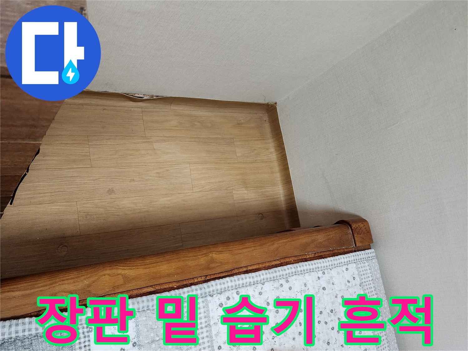 강서구 거실 바닥-장판 아래 물샘 증상