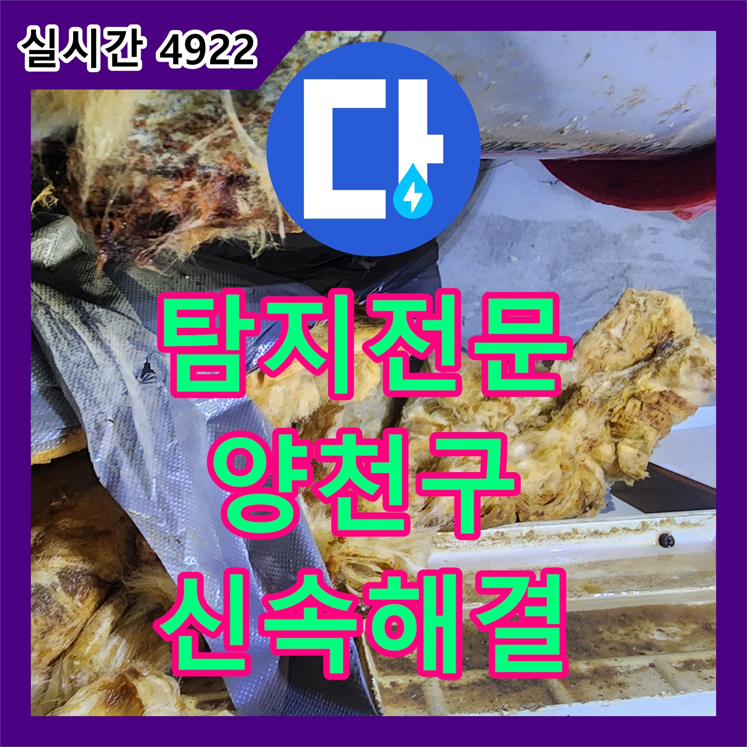 누수탐지전문가 - 천장 누수 문제, 꼼꼼한 탐지부터 해결까지 - 서울 양천구