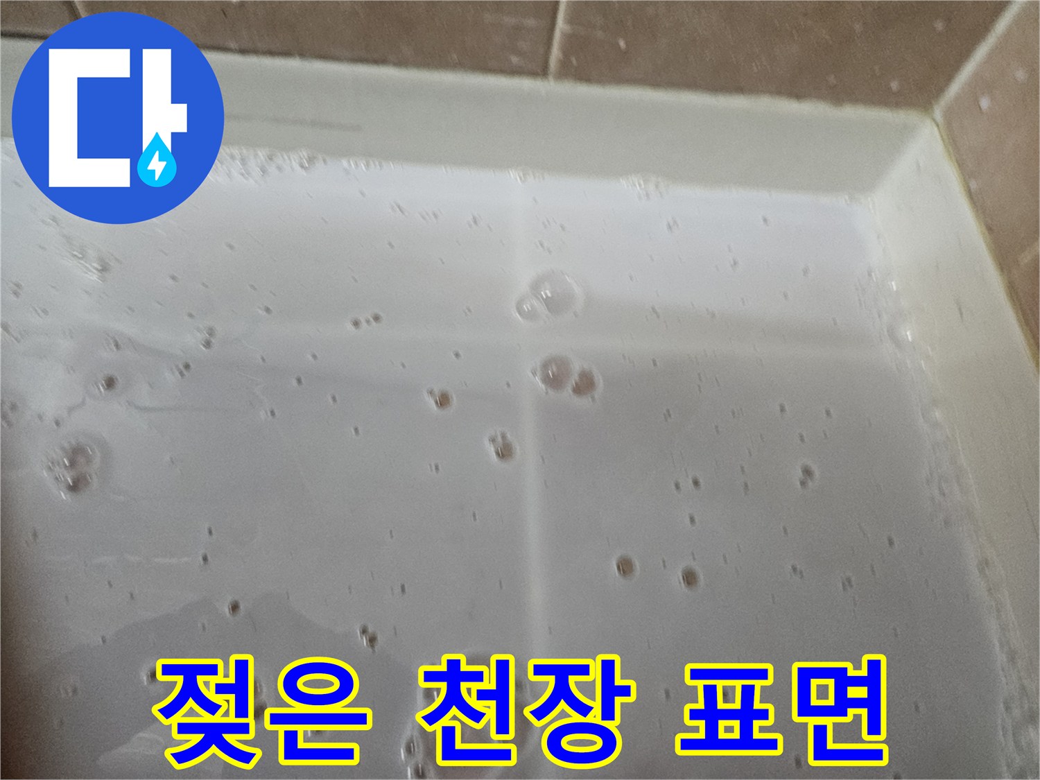 천장-텍스-위에-맺힌-다수의-물방울-이미지