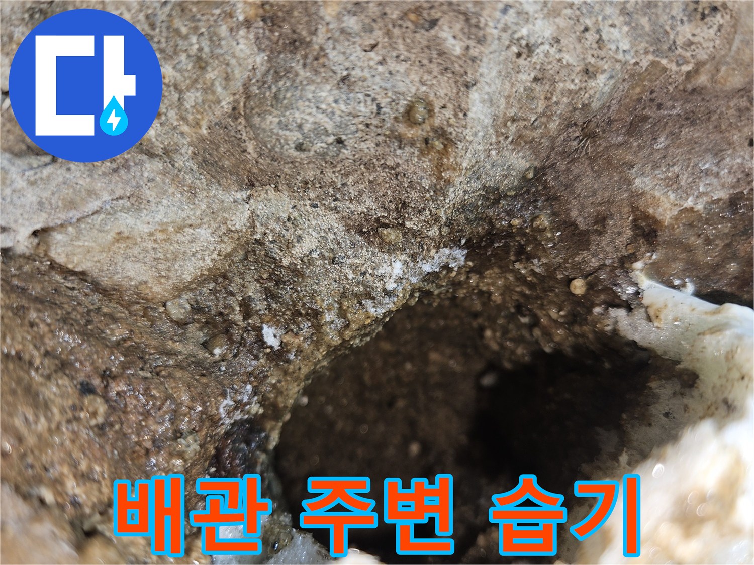 배수관-주변-콘크리트-침투-현상
