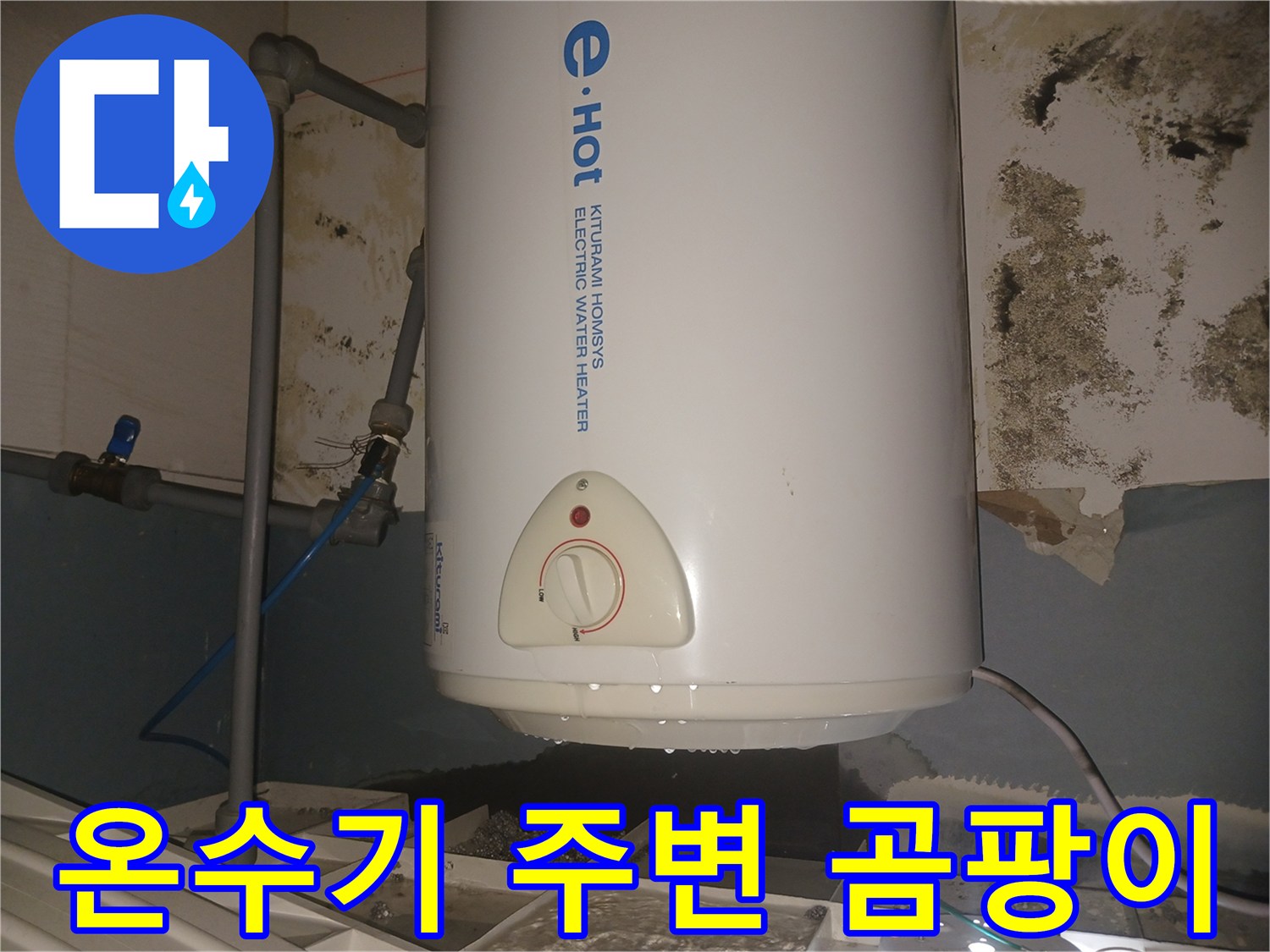 전기-온수기-하부-벽면-곰팡이-및-습기-상태